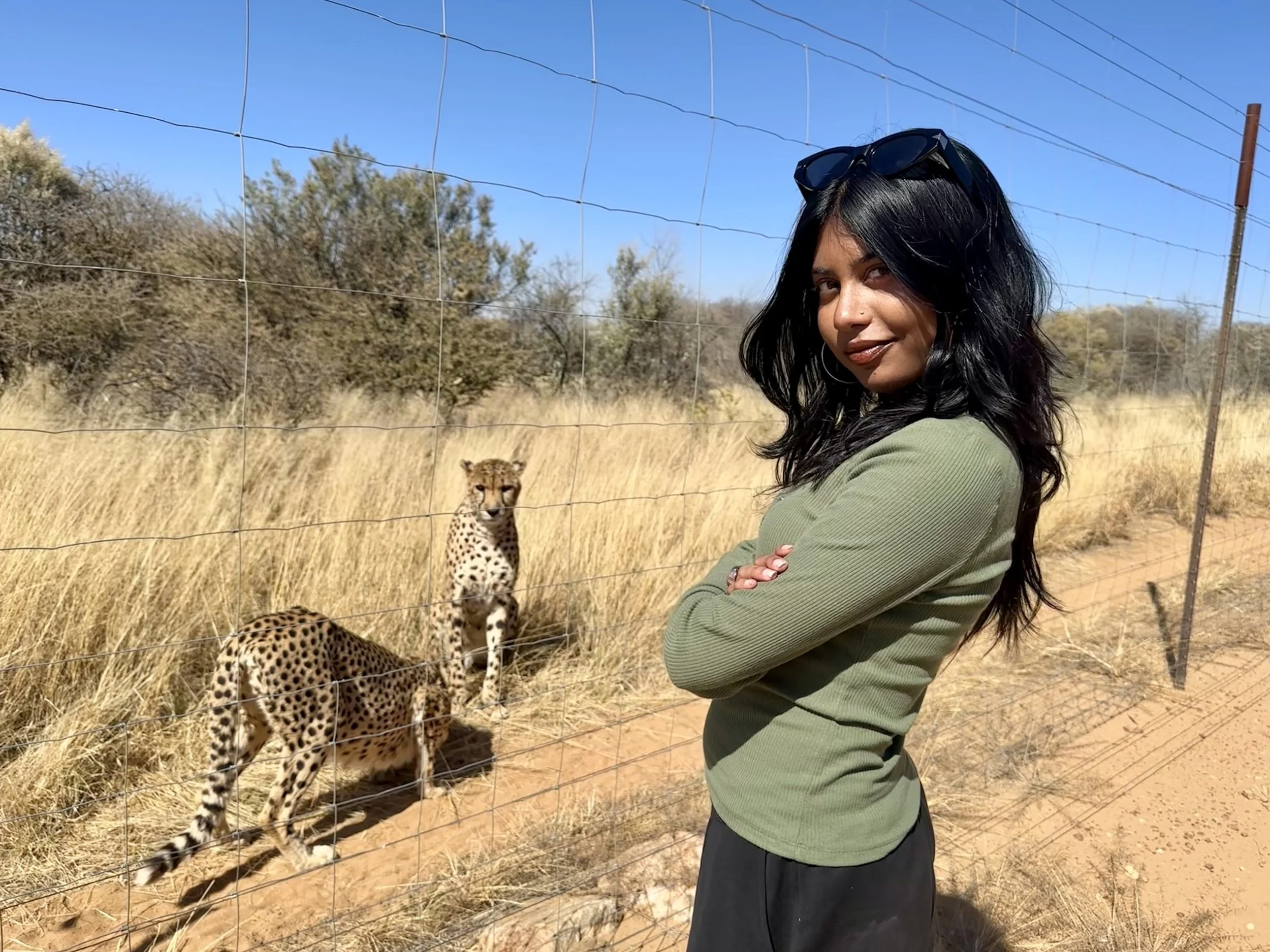 A woman with black hair and sunglasses on her head stands with arms crossed in front of a fence, with two cheetahs in the grass behind the fence on a sunny day.