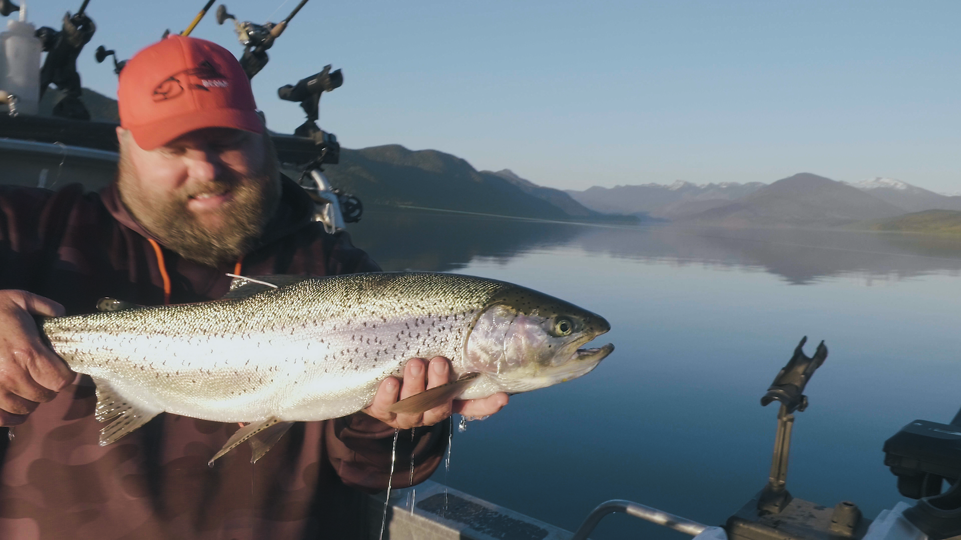 Giant Horsefly Rainbow. Mike.png