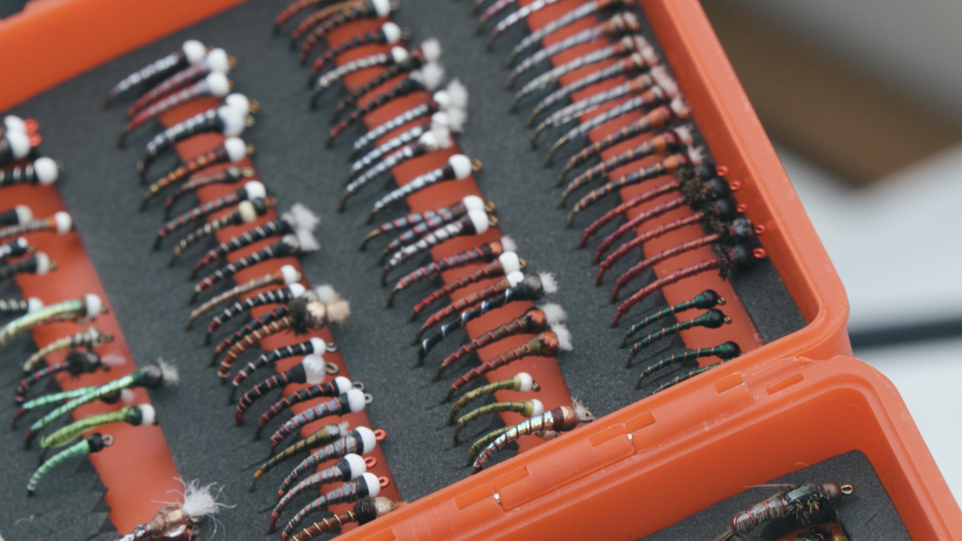 Flys in a fly box.png