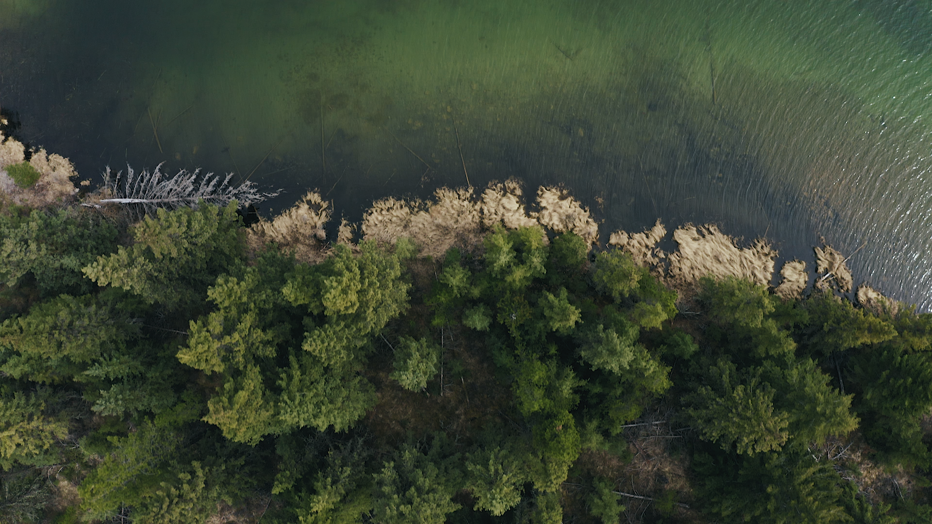 Birds eye of shore.png