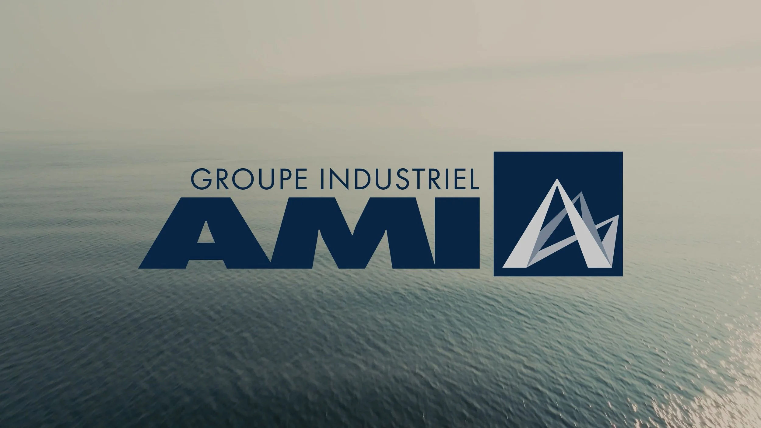 Groupe Industriel Ami