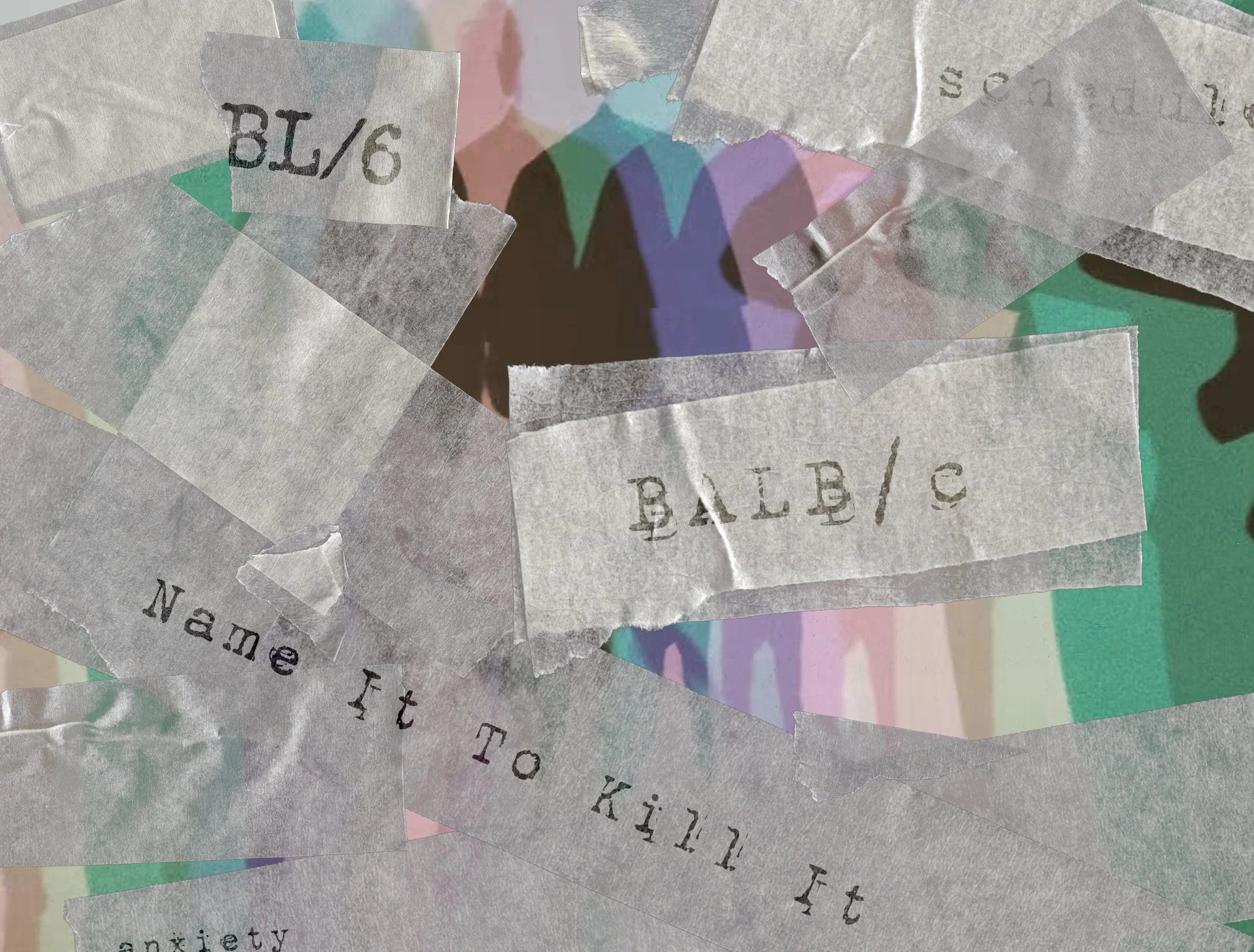 Name It To Kill It: Why Emotional Intelligence is Becoming Emotional Euthanasia