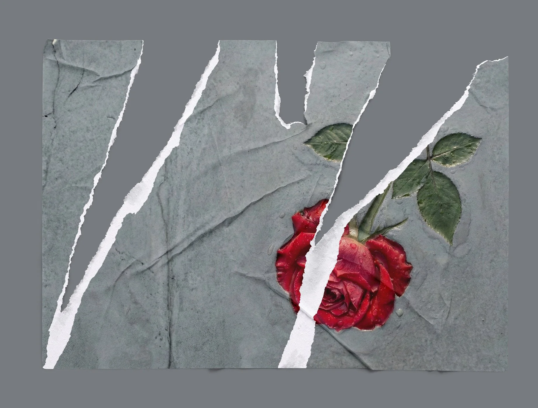 The Architecture of Forever&nbsp;: An Audit of Love, Entropy, and Certainty