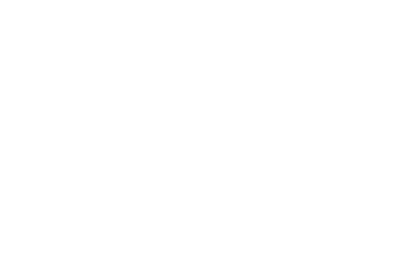 US Executive Office of the President seal with eagle and olive branch.