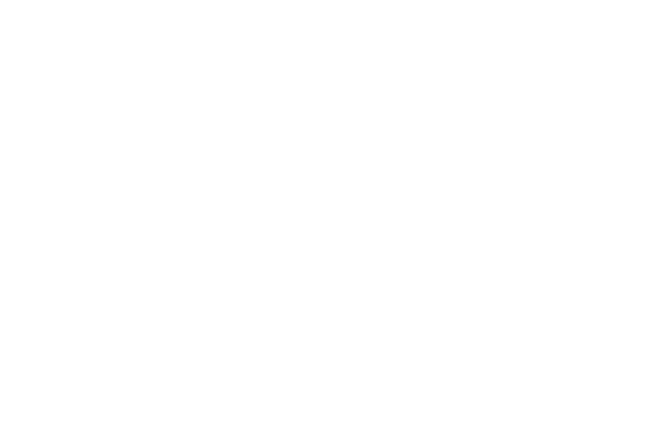 Logo of the Committee on National Security Systems with a globe, stars, and laurel leaves.