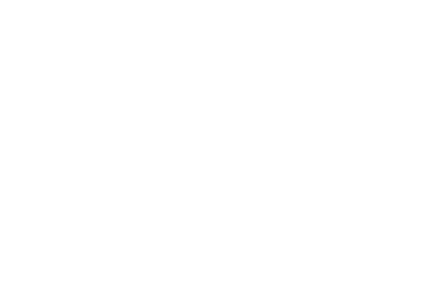 Seal of the U.S. Department of Homeland Security featuring an eagle and a shield.