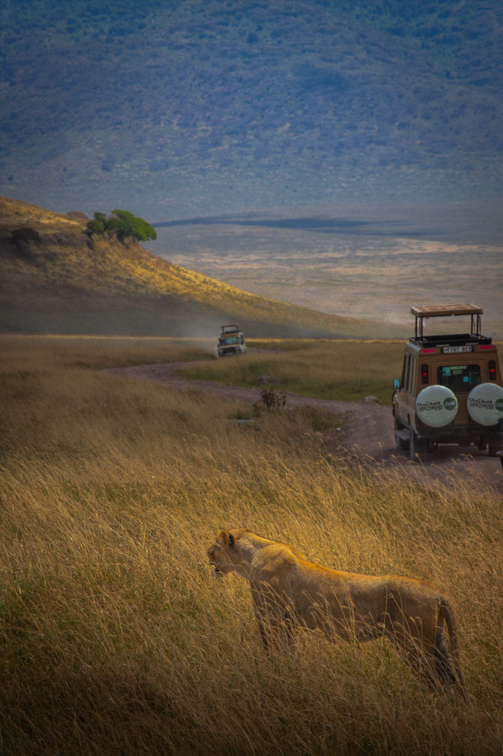 Capture d'écran 2025-12-27 220544.png