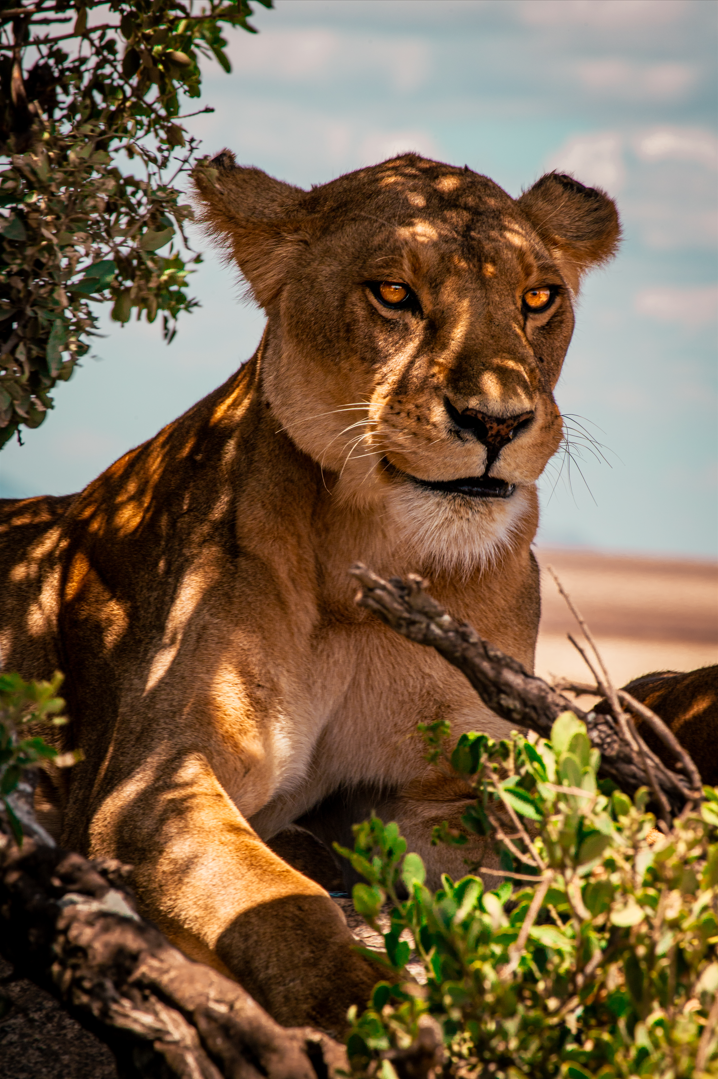 Capture d'écran 2025-12-27 220601.png