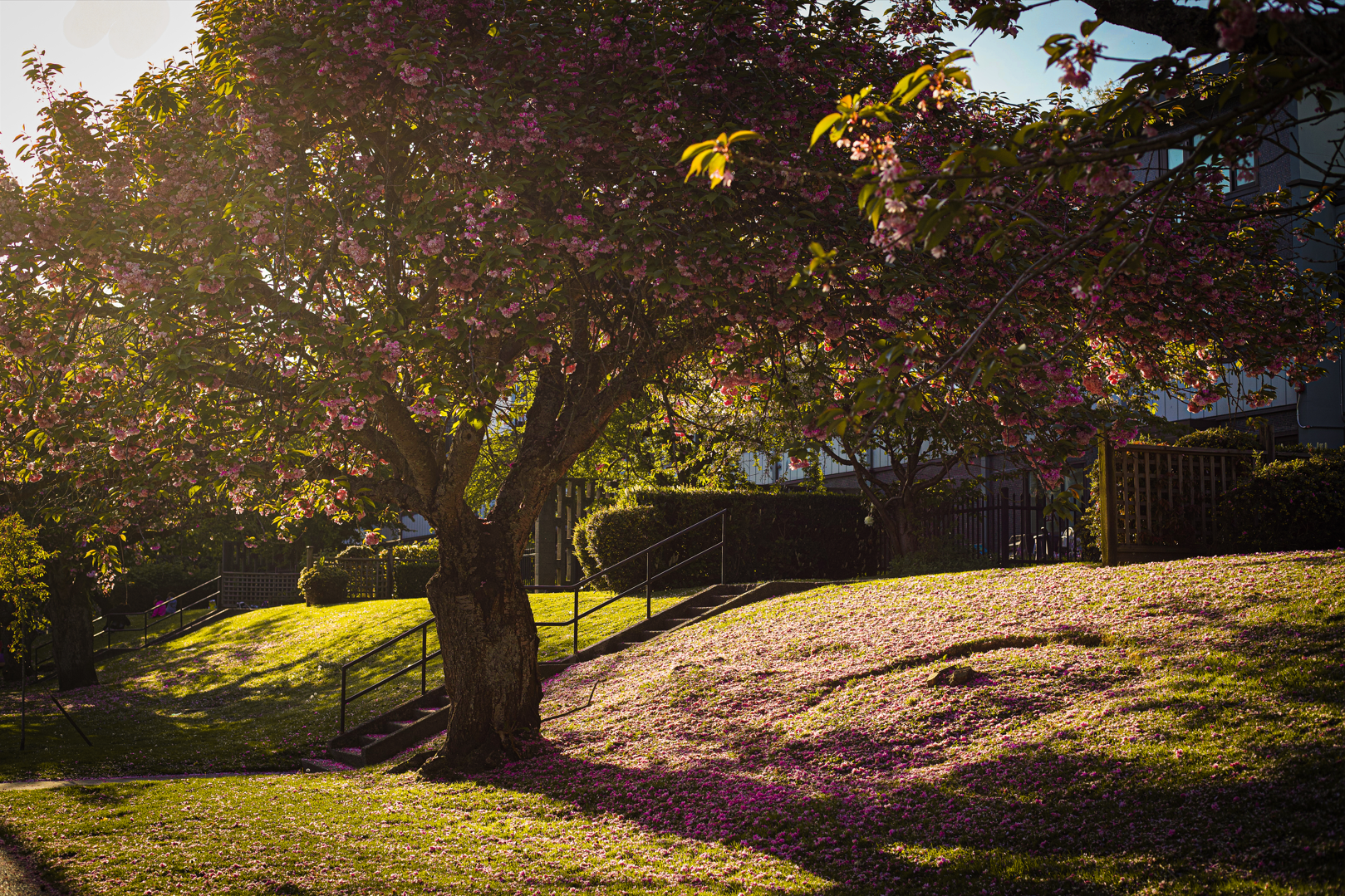 Capture d'écran 2025-12-27 220627.png
