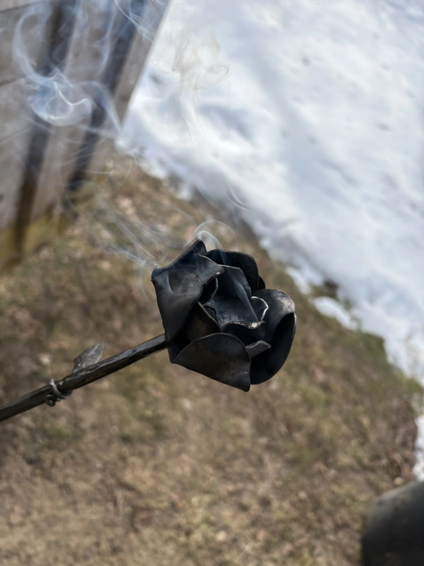 smokin hot rose.jfif