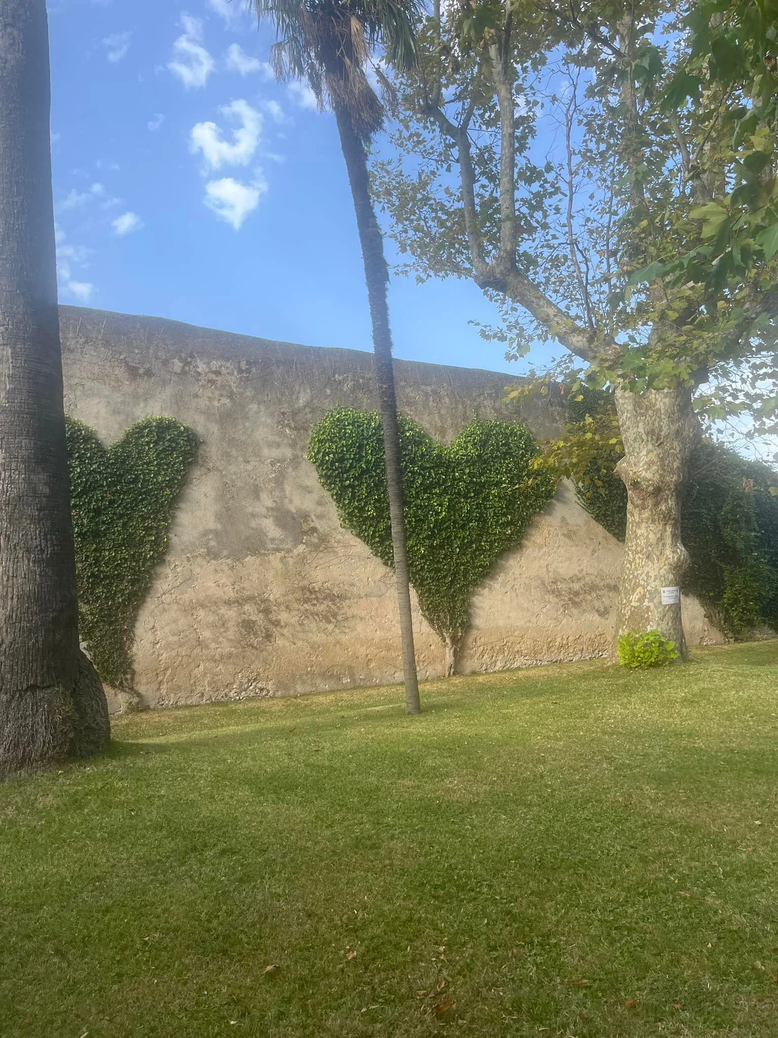 A stone wall with three bushes shaped like hearts, greenery climbing the wall, trees with leaves and trunks, a grassy lawn, and a blue sky with a few clouds.