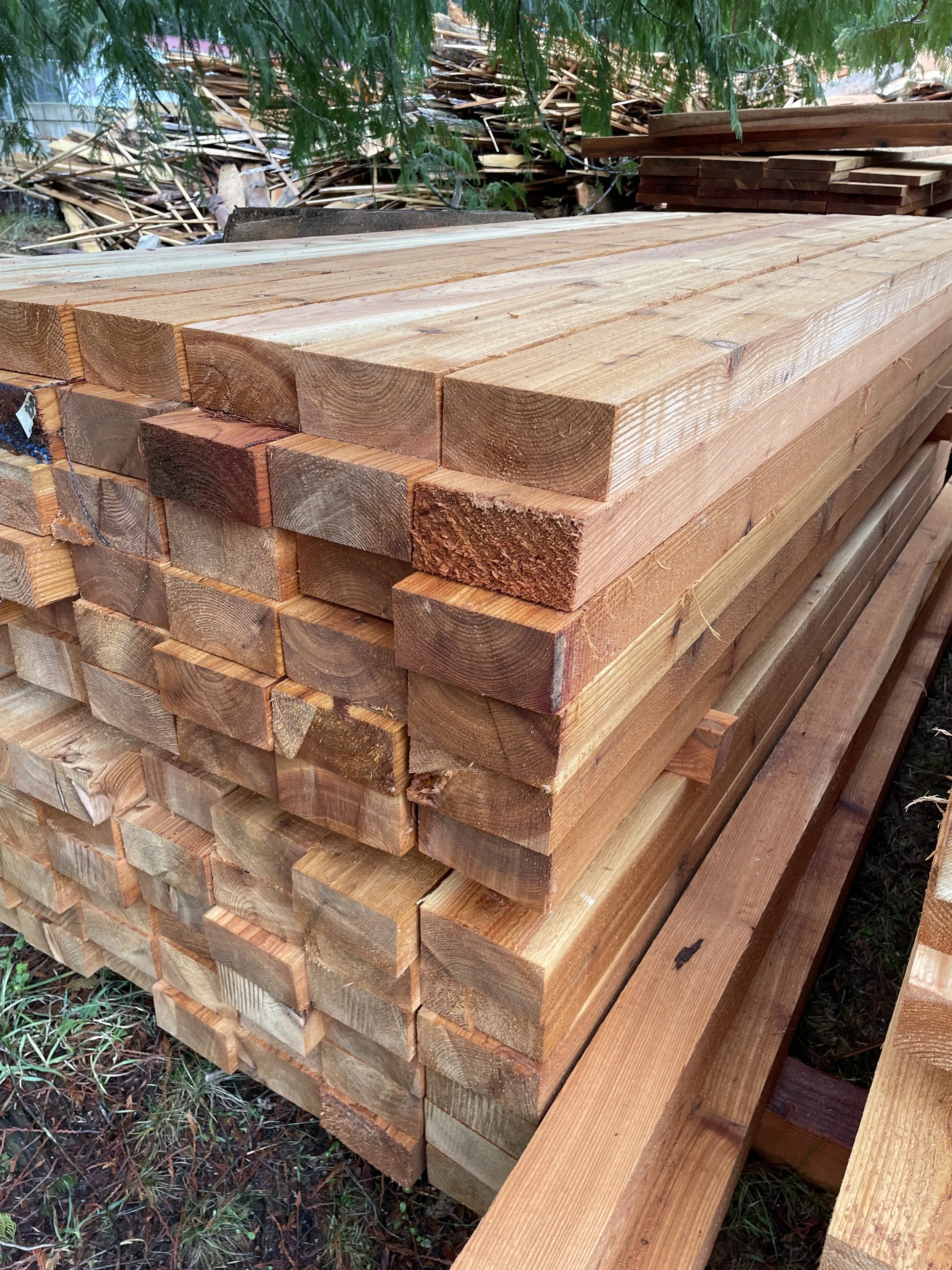 Stacked wooden planks outdoors with trees and debris in the background.