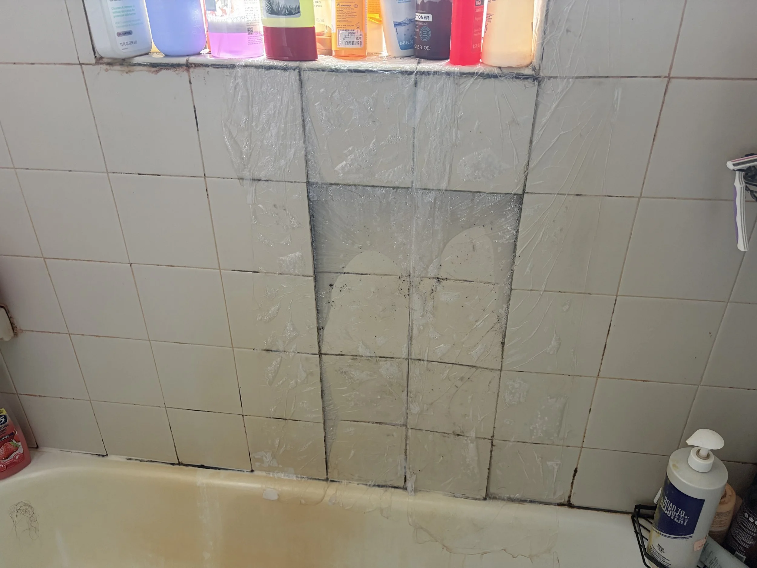 Photo showing water damage and mold growth on shower tile in Winter Garden