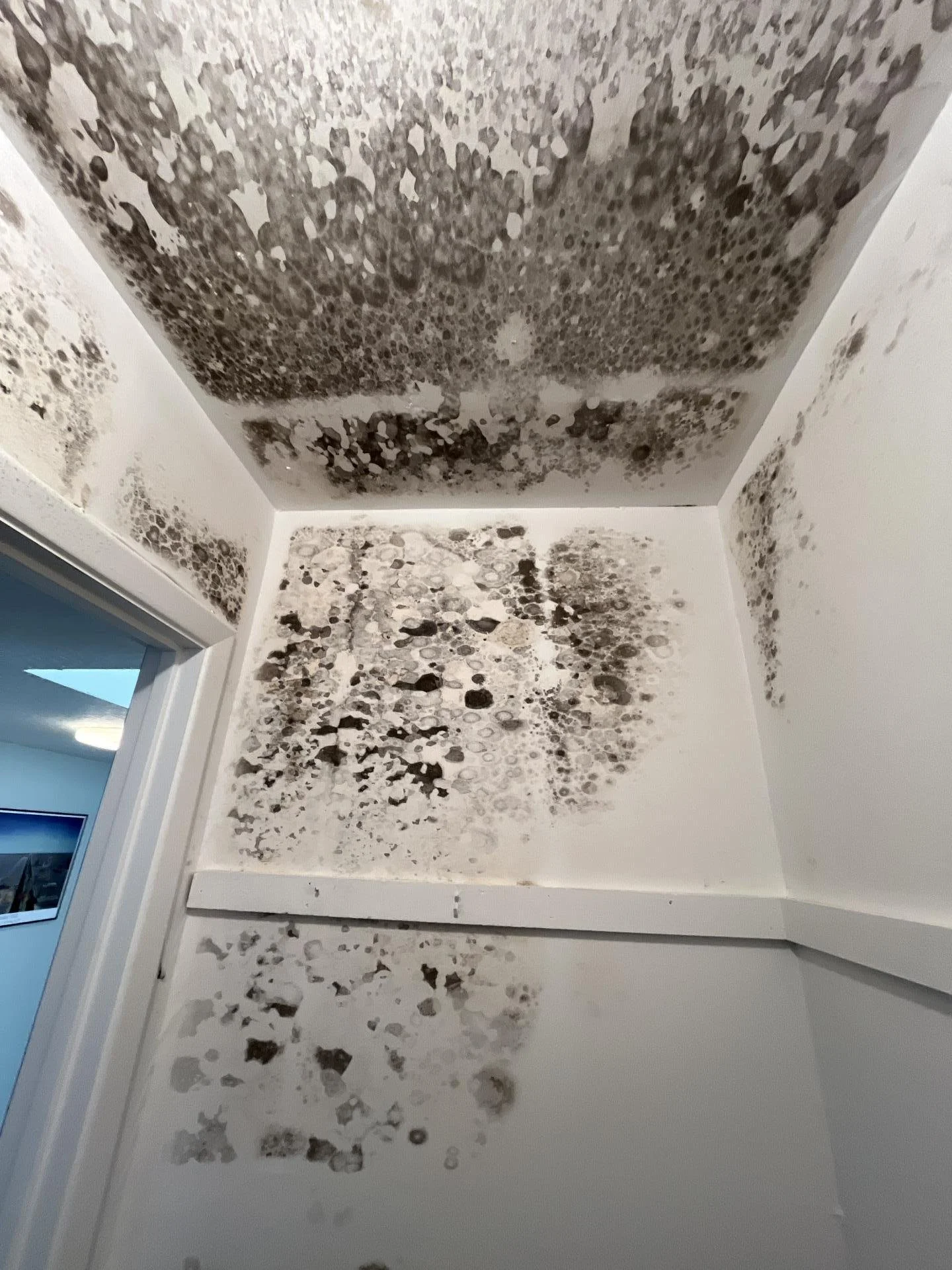 Room with mold on the ceiling and walls, showing black and brown spots of mold growth.