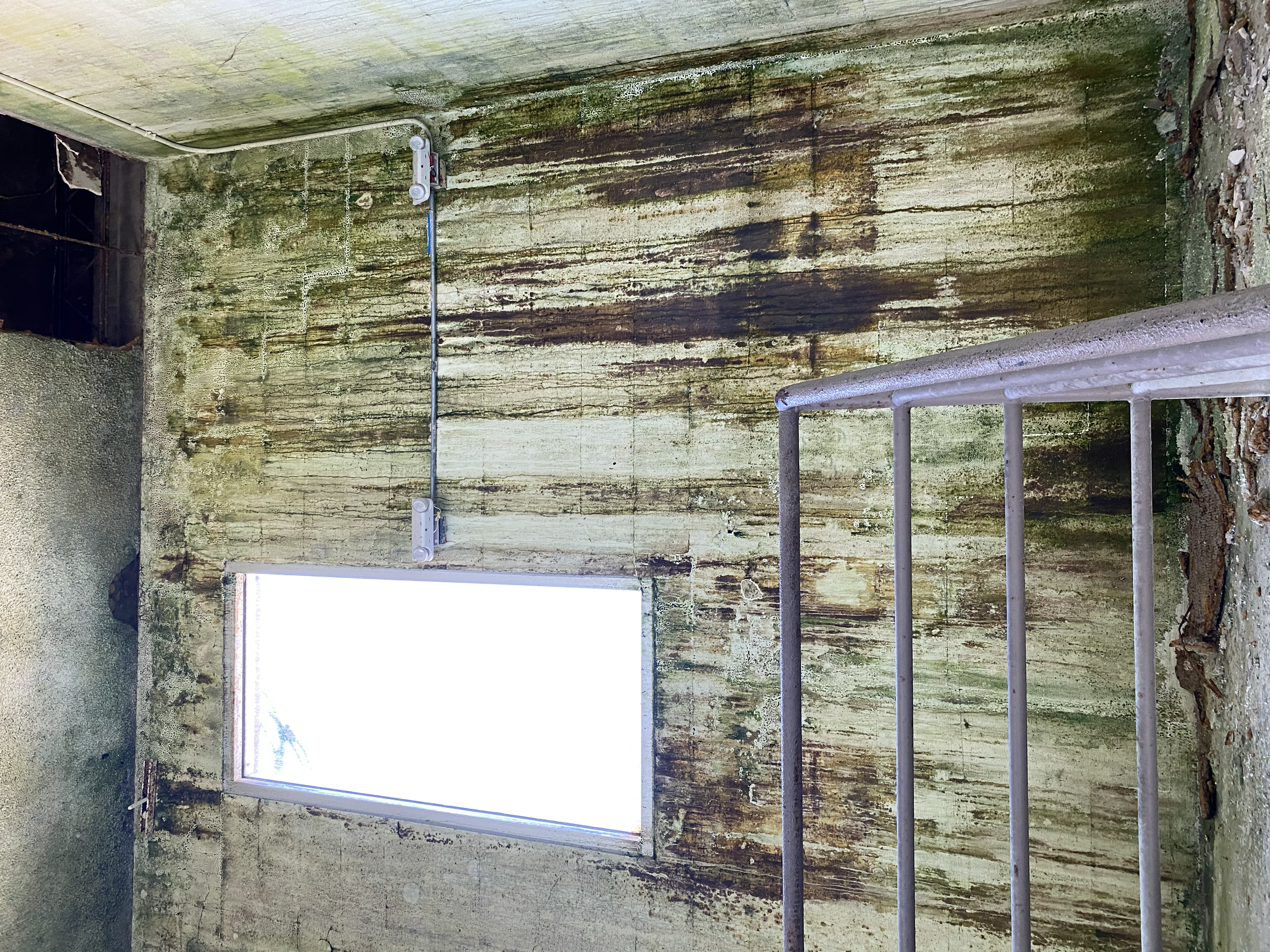An old, dirty, and moss-covered wall with peeling paint and mold, featuring a small window and an exposed metal railing in the foreground.
