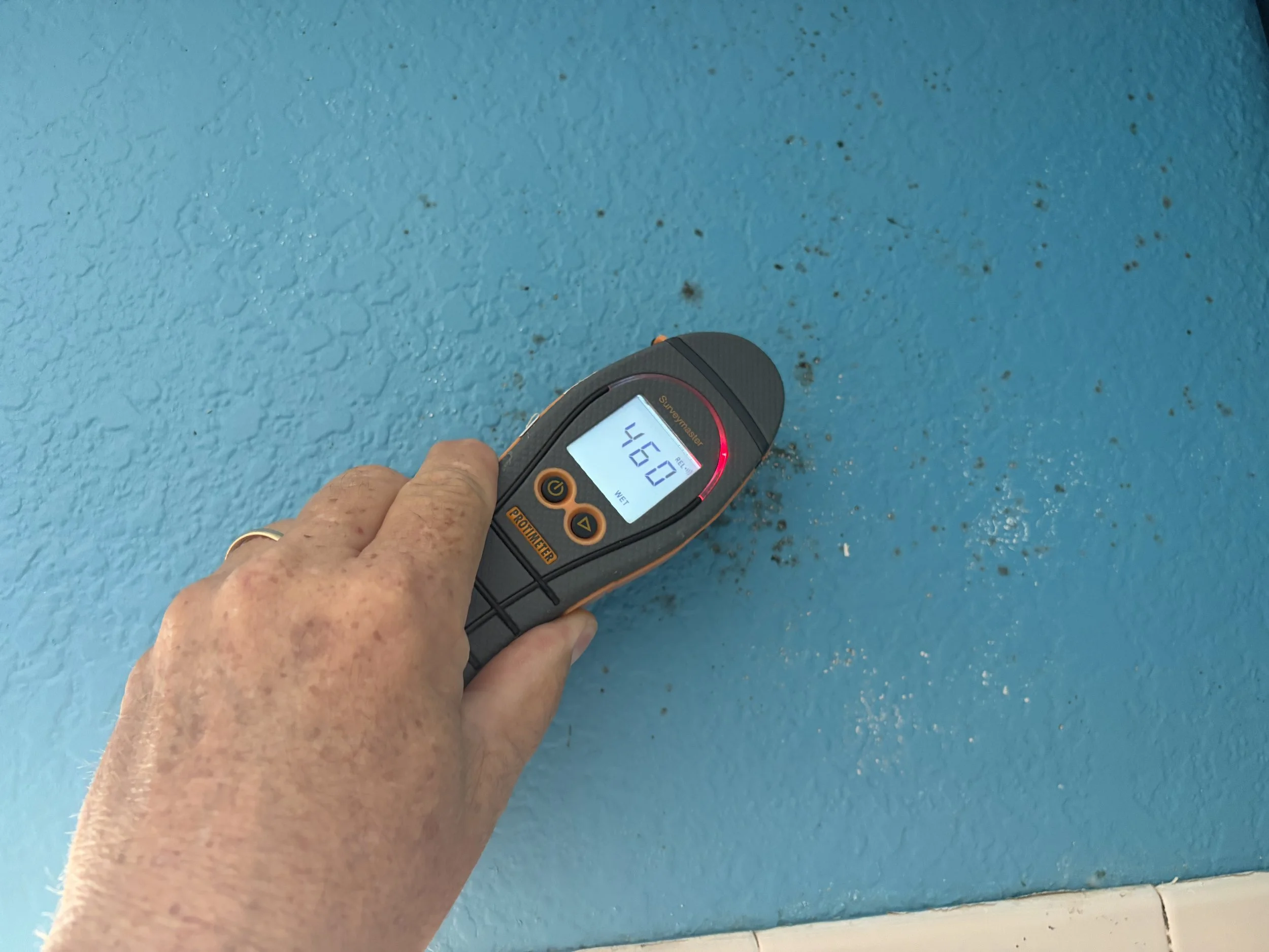 Moisture meter checking for water damage during a mold inspection.
