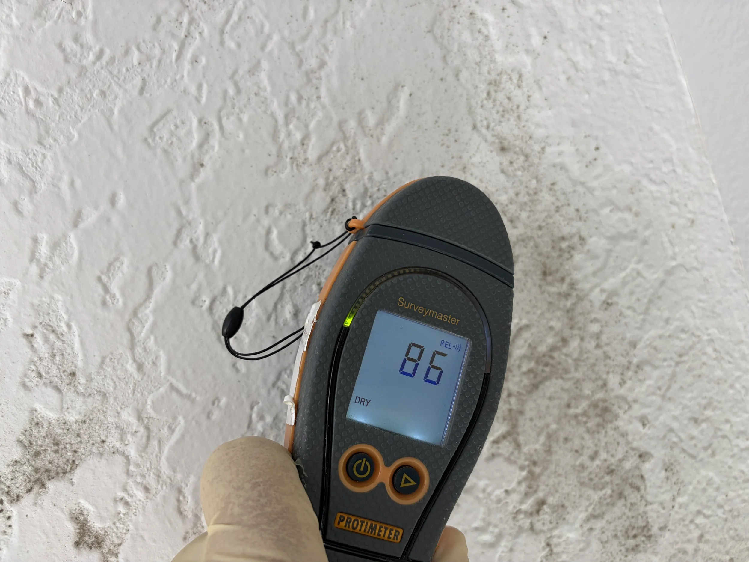 Moisture meter on drywall during mold inspection in Winter Garden
