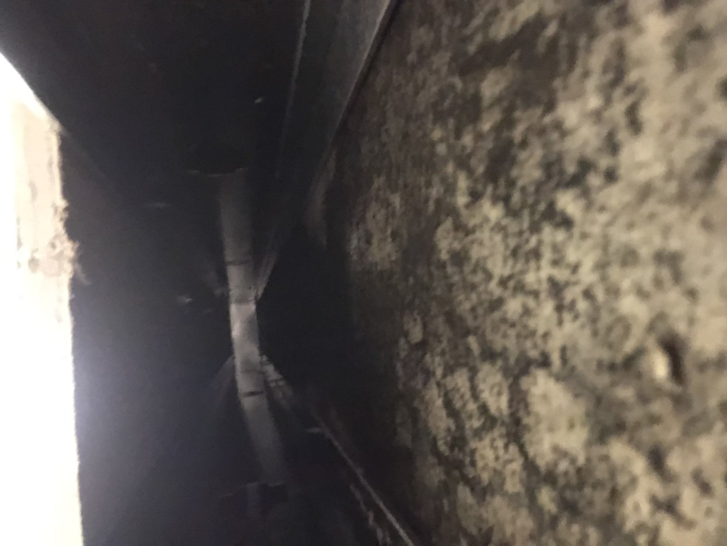 Mold growth behind cabinets affecting air quality.
