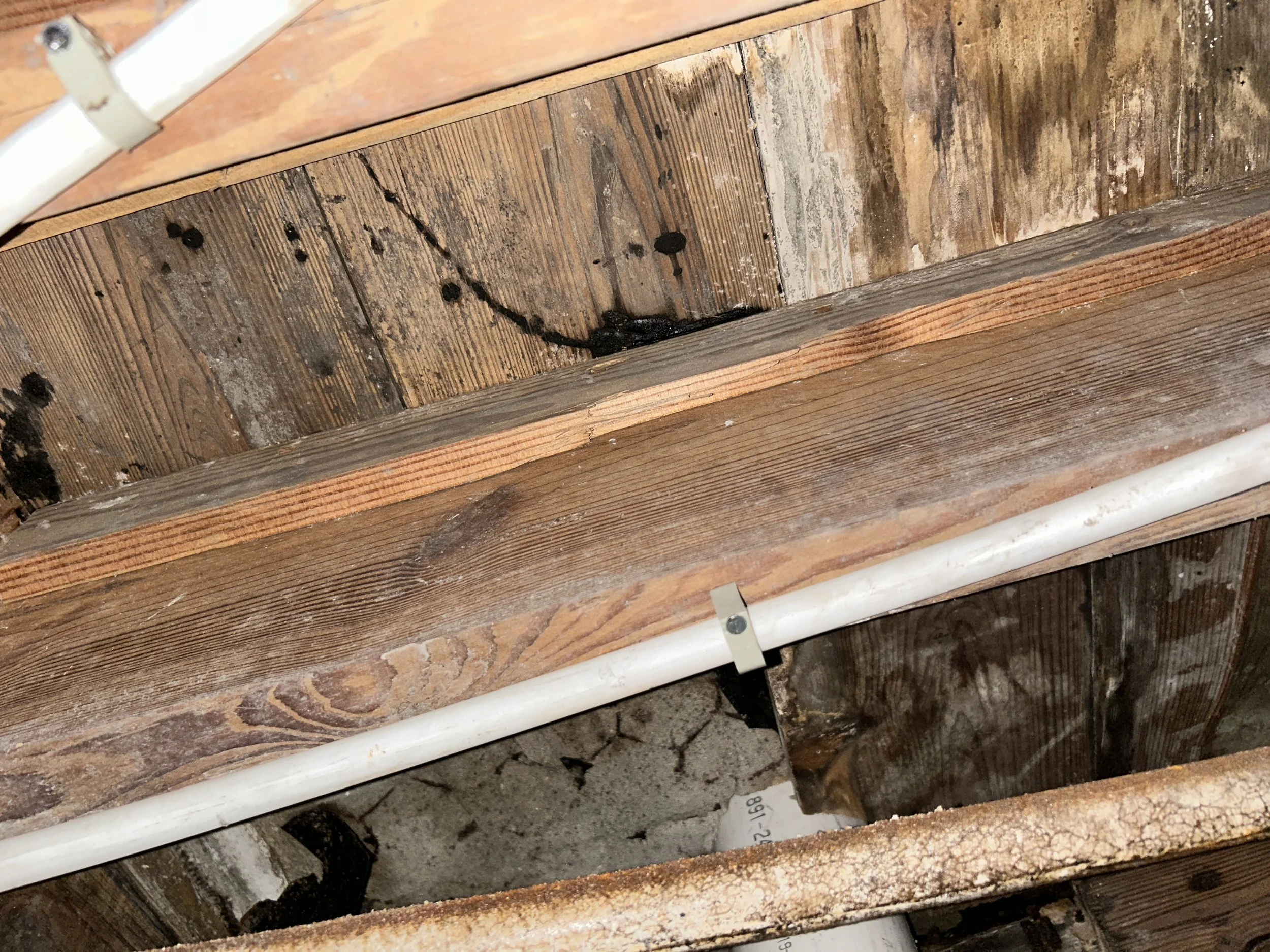 Close-up view of a wooden structure with visible water damage, stains, and black mold spots, along with a white pipe running horizontally.