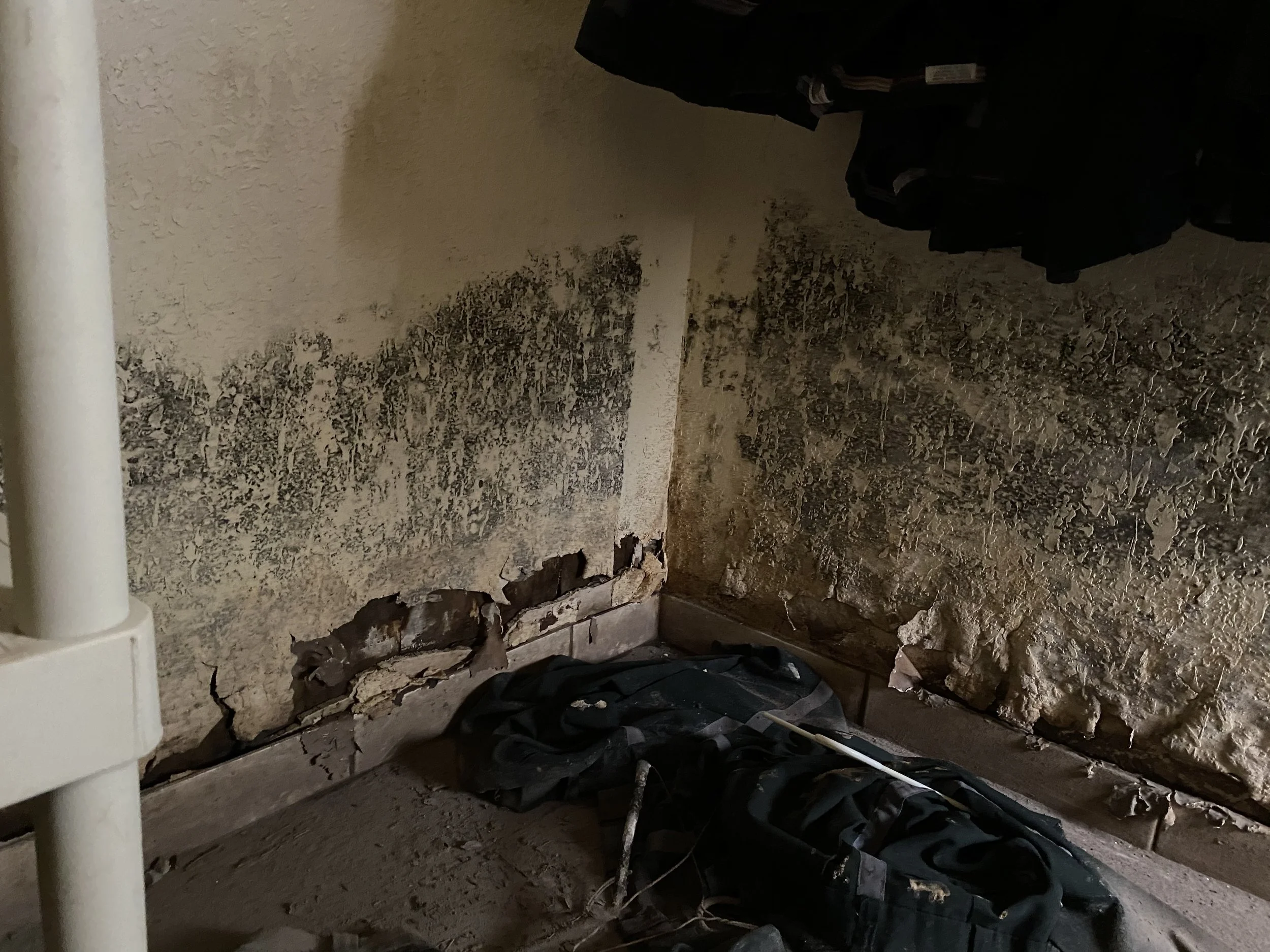 Mold growth in closet.