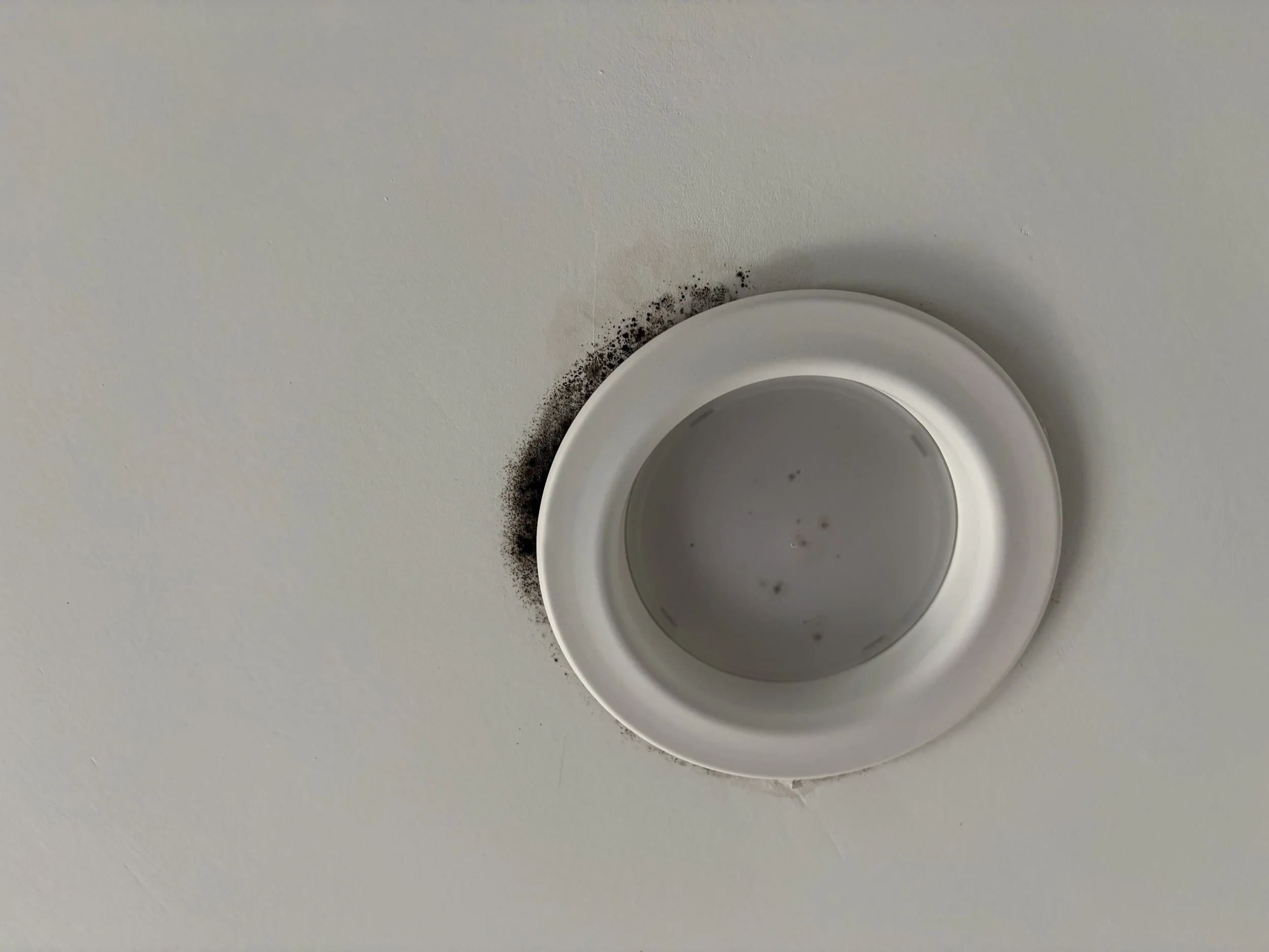 Mold growth around a recessed light in a ceiling during a mold inspection.