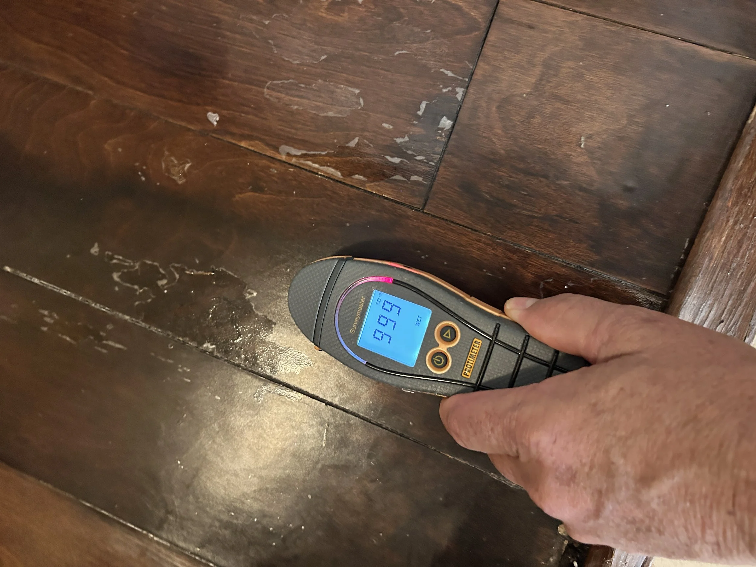 Photo of a moisture meter showing elevated moisture during a mold inspection in Longwood