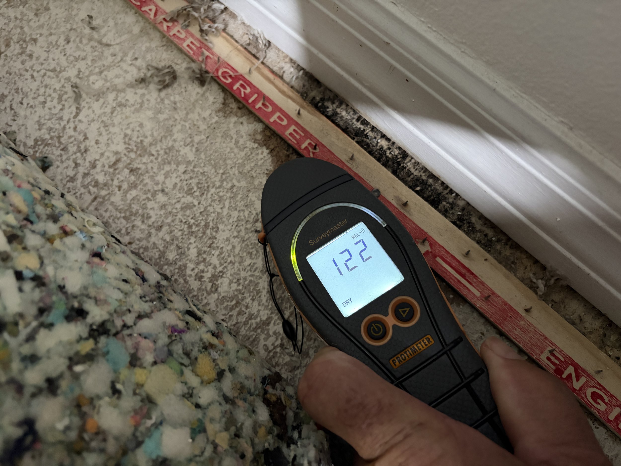 Moisture meter checking for water damage during a mold inspection