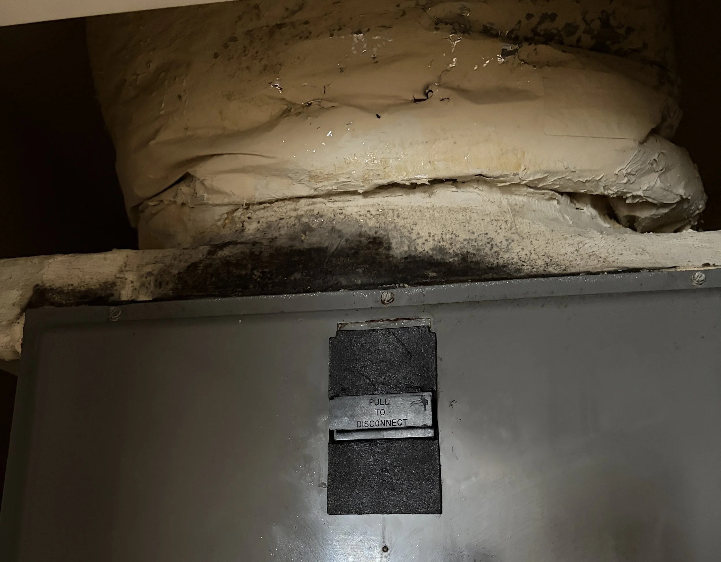Photo of mold growth on an HVAC plenum during a mold inspection