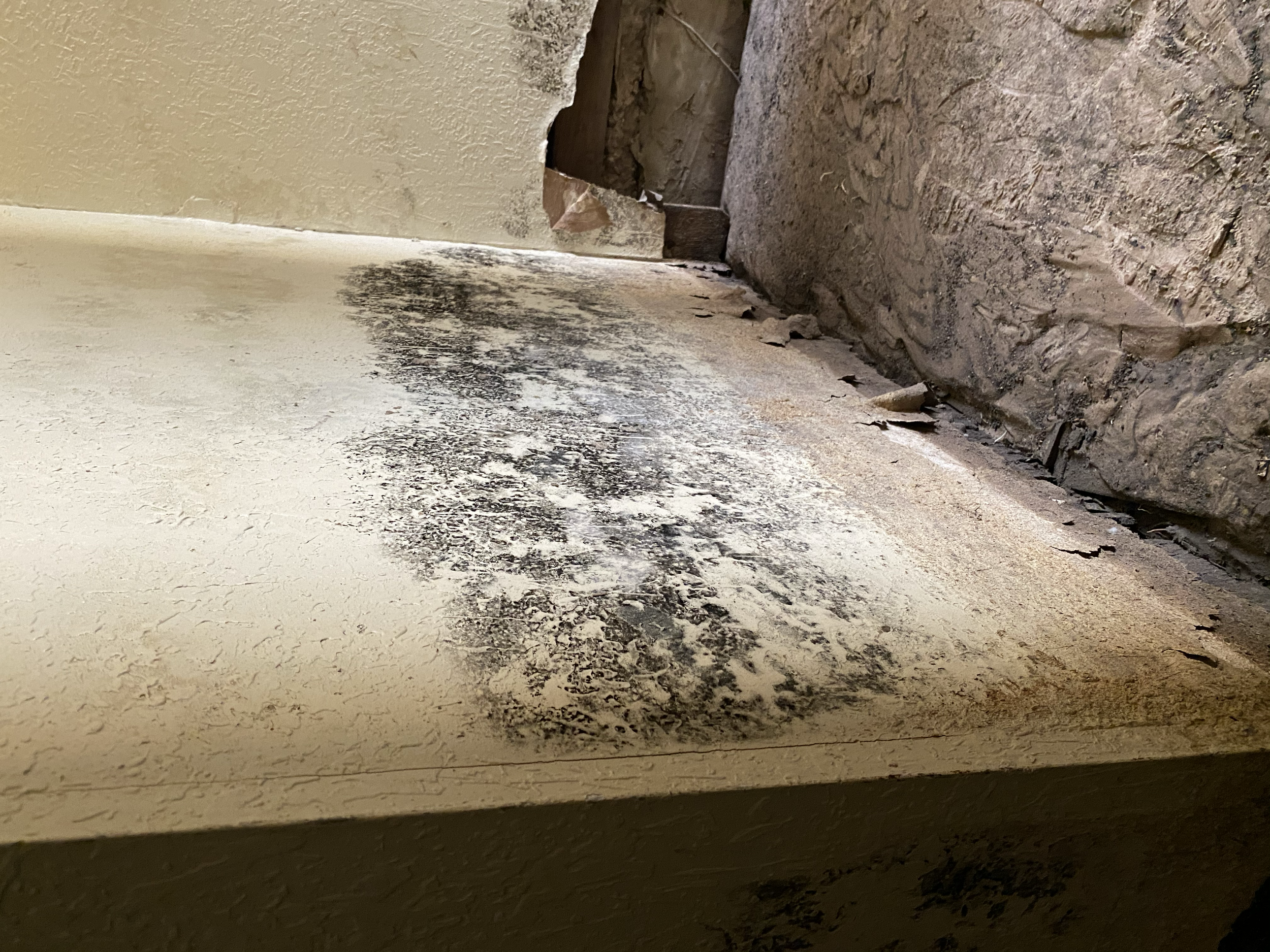 Wall with black mold and peeling paint near a water damaged section of plaster or drywall.