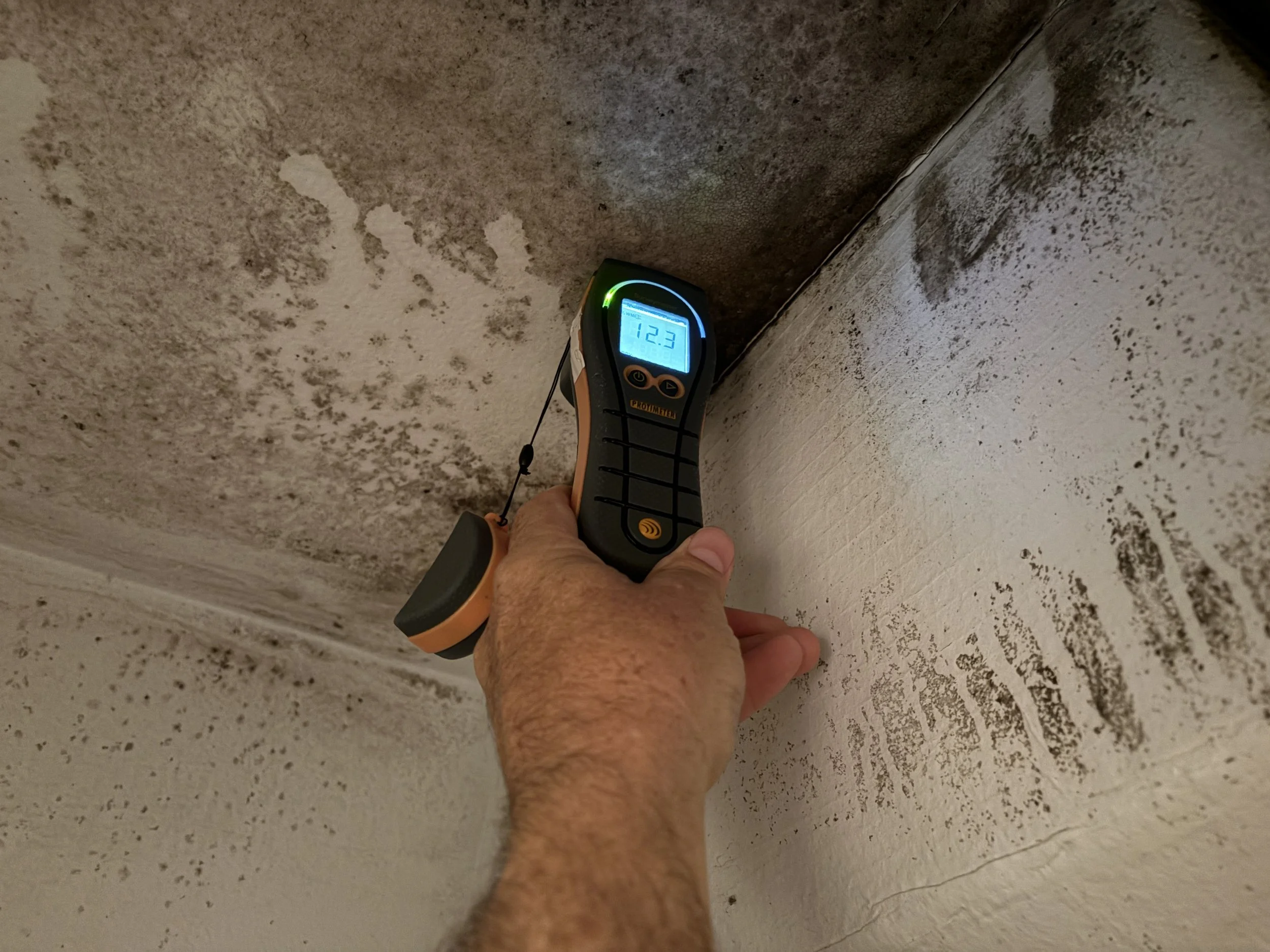 Photo of a moisture meter being used during a mold inspection.