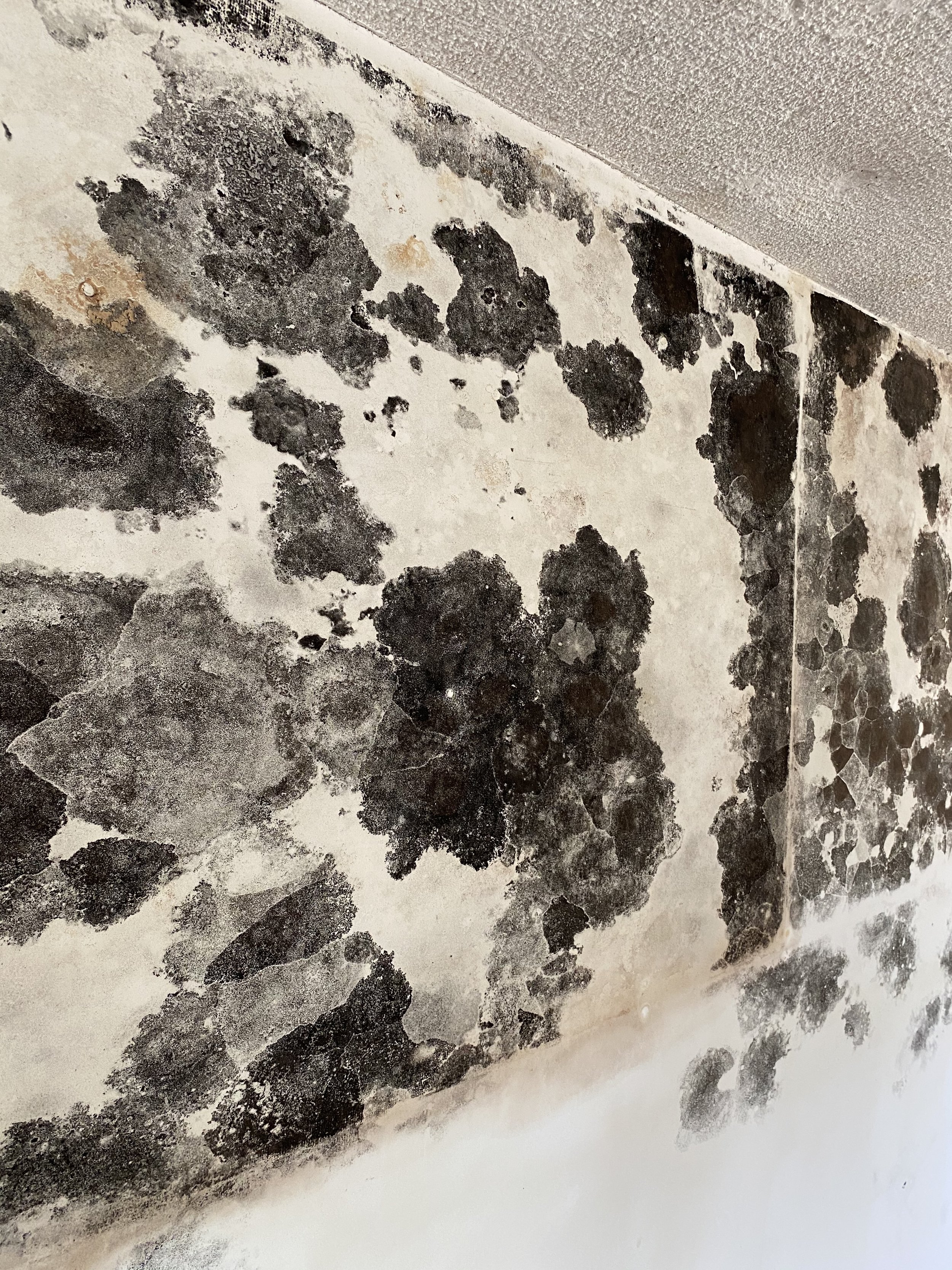Mold growth found during inspection affecting air quality.