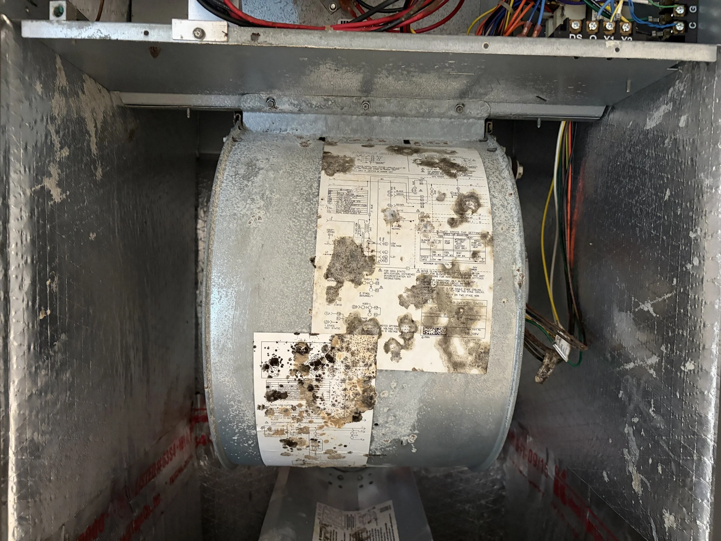 Photo of mold growth on an HVAC system in Debary