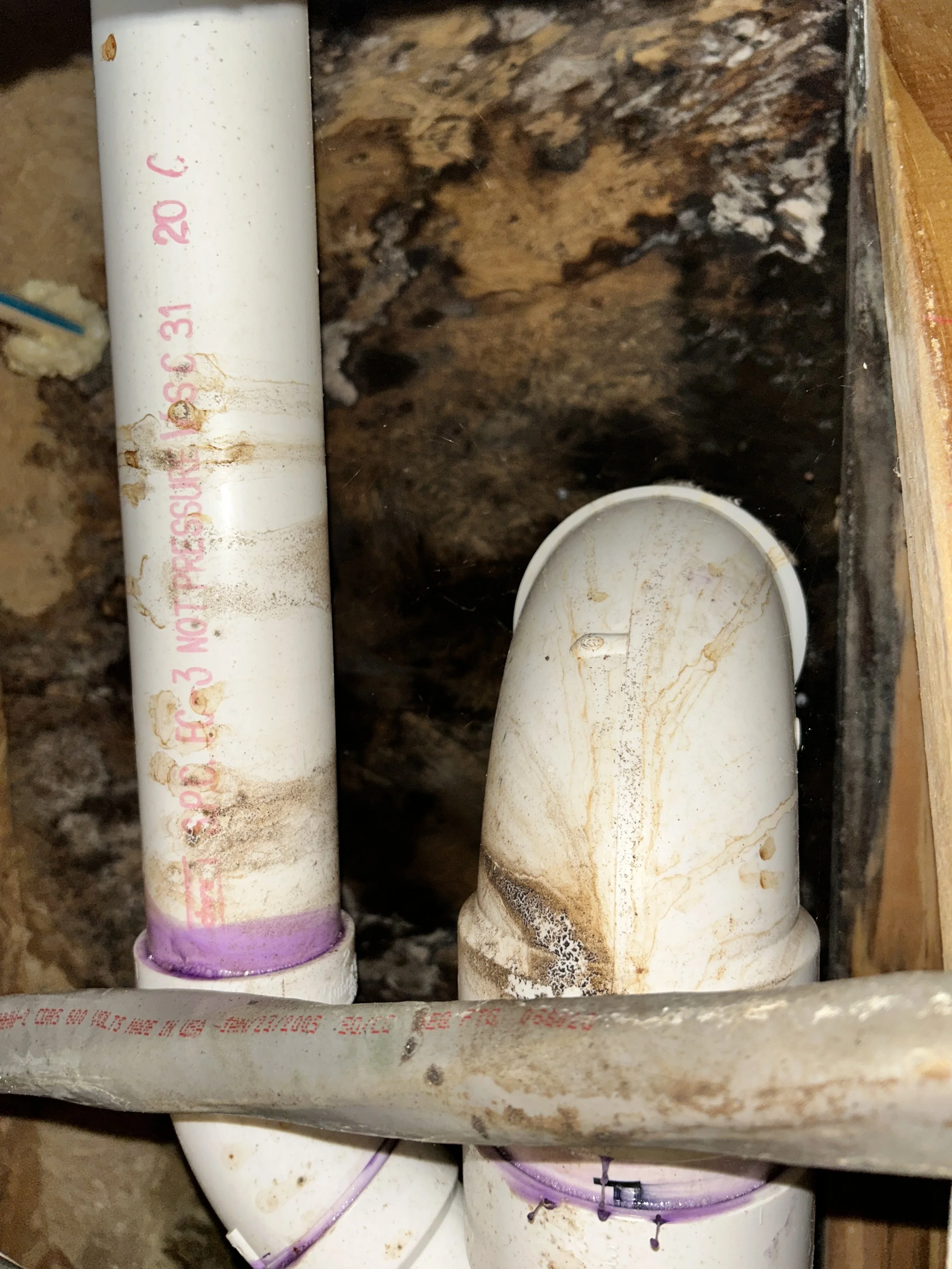 Mold growth and water damage under a sink.