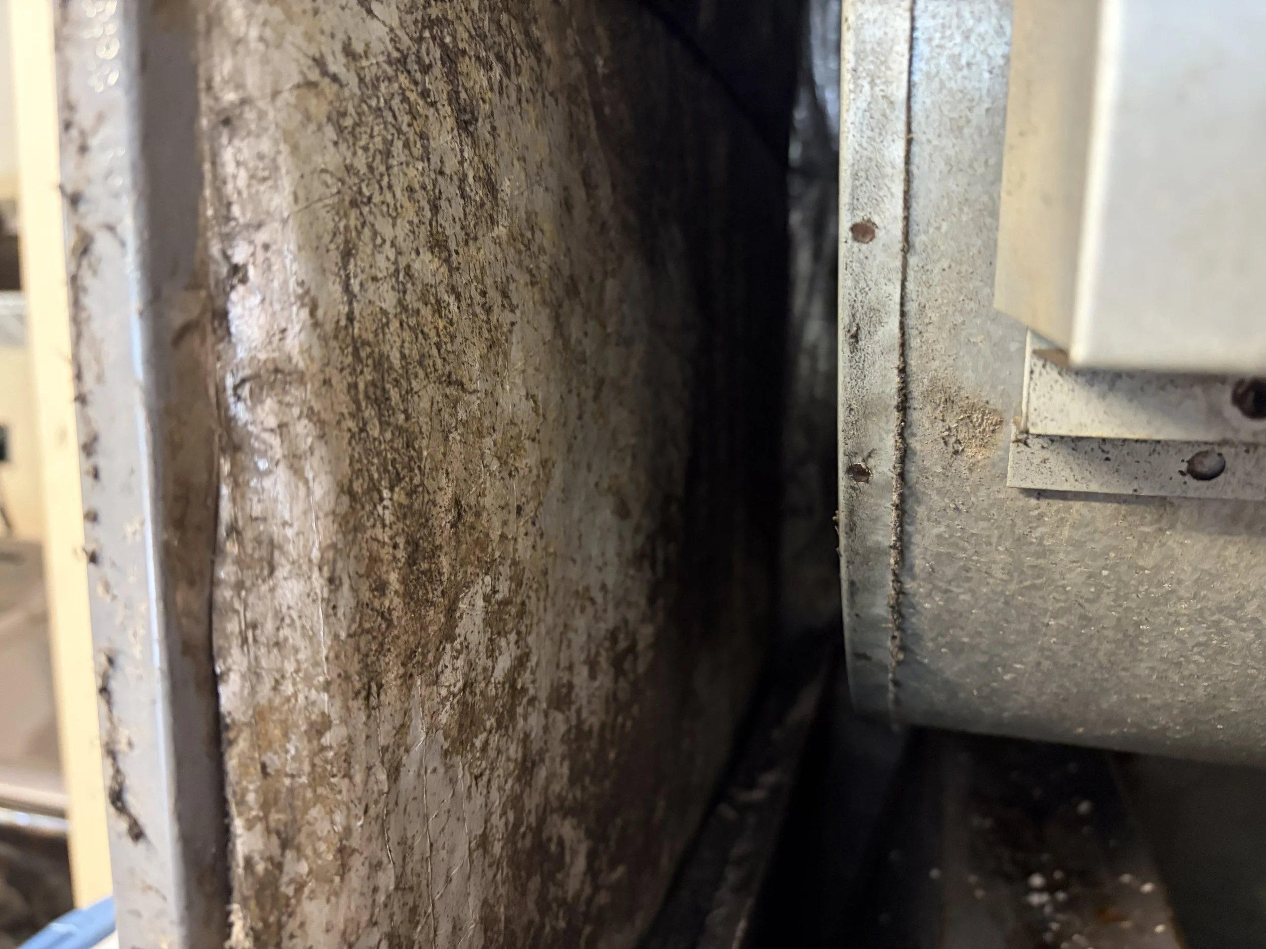 Photo of mold in an HVAC unit during a mold inspection in Windermere