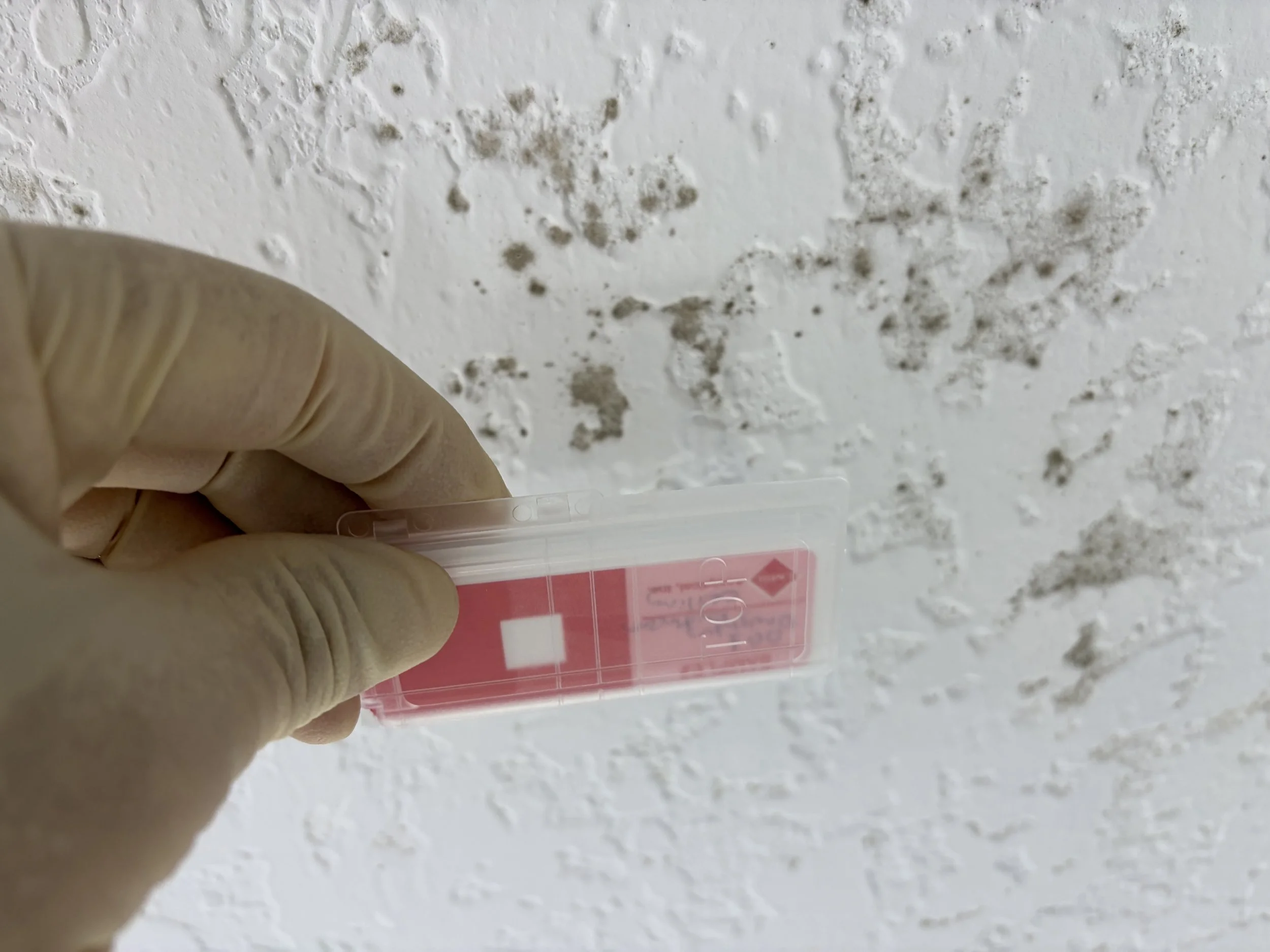 Tape lift sample during a mold inspection in Deland 