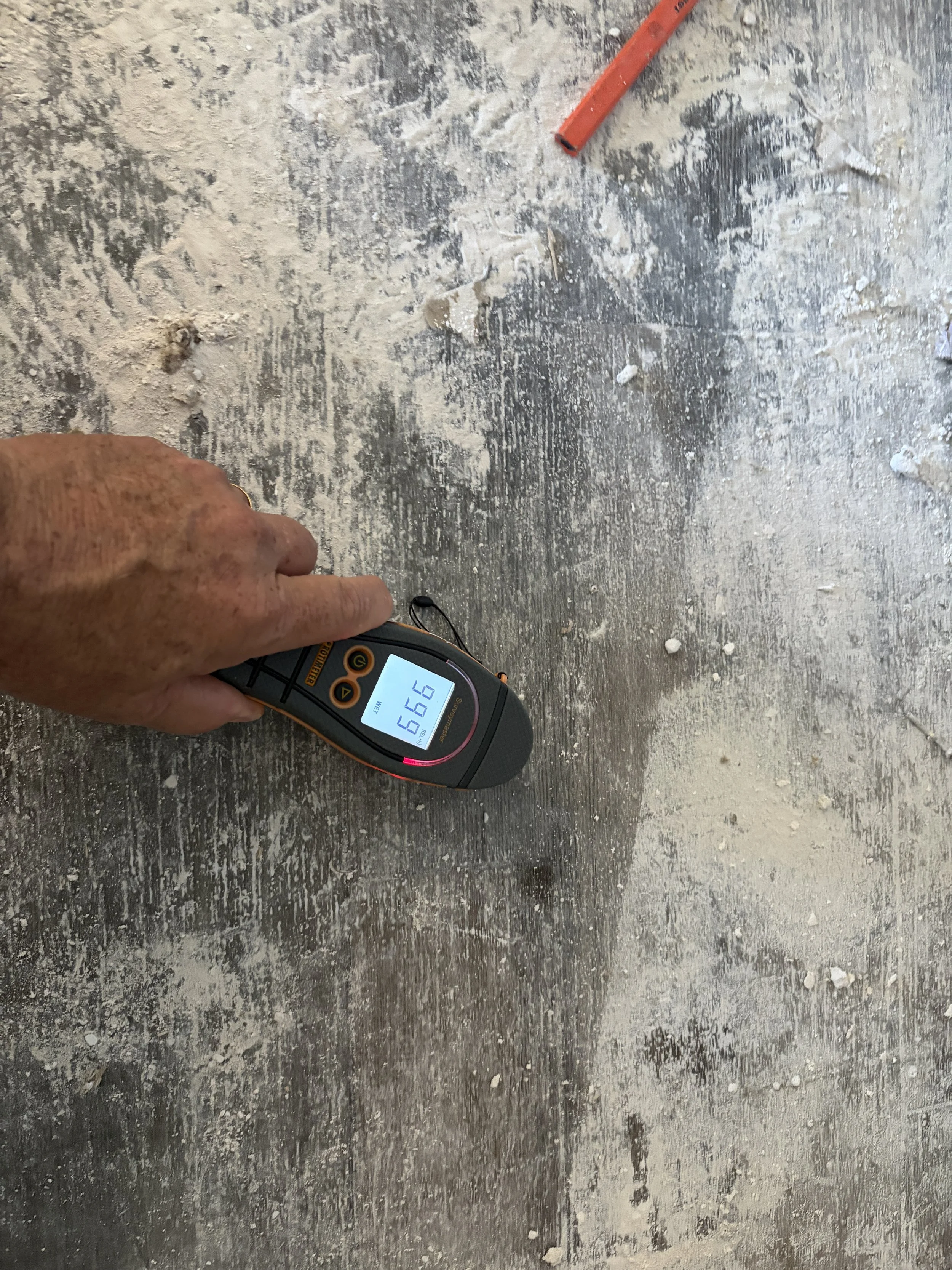 Moisture meter showing water damage during mold inspection in Winter Park
