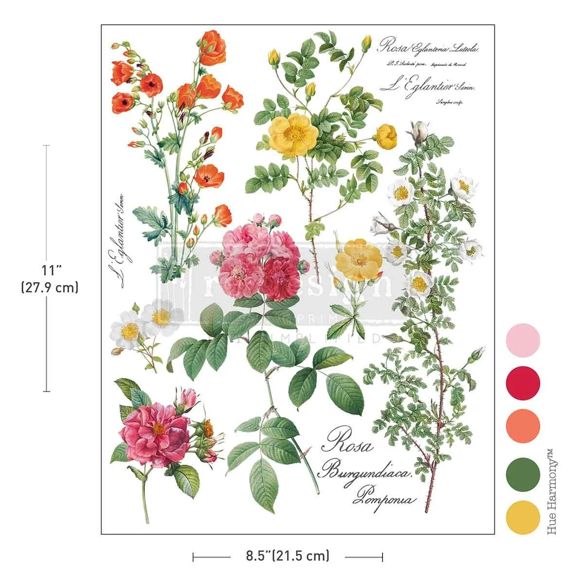 poetry in petals.jpg