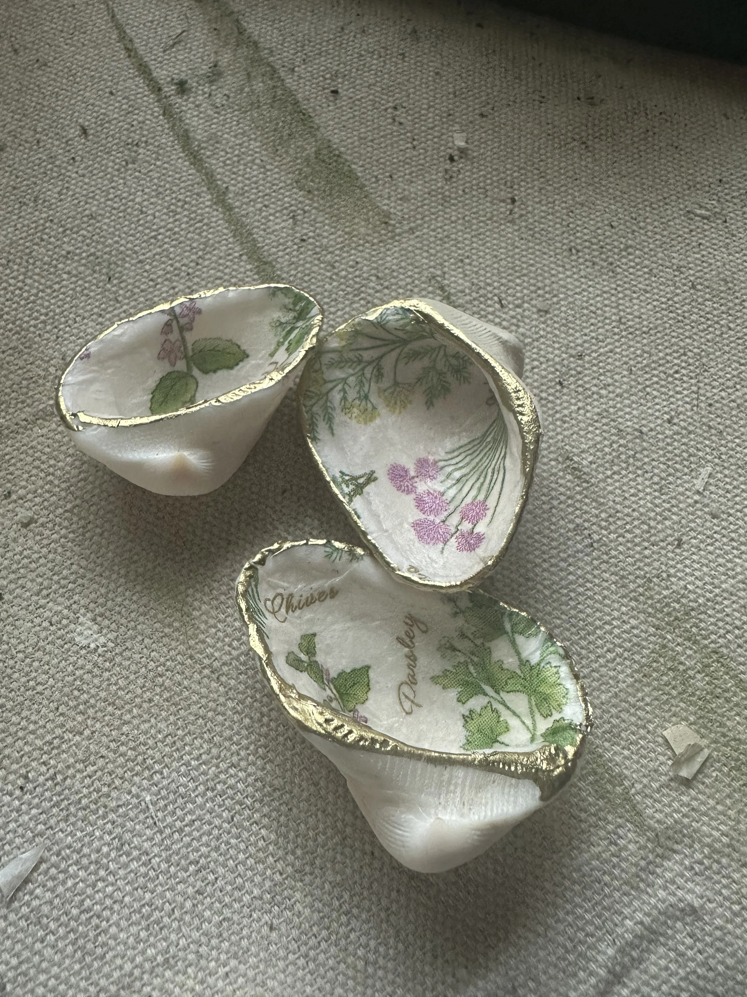 Sea Shell Trinket Dishes