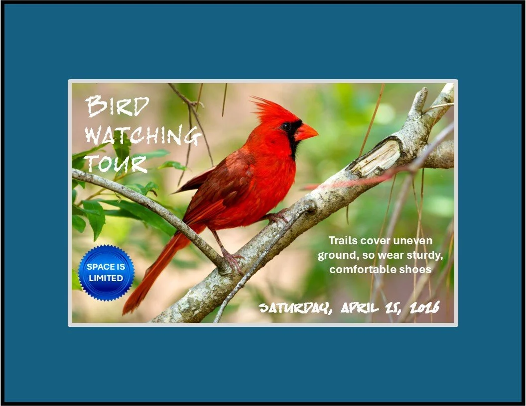 Bird Watching Event
