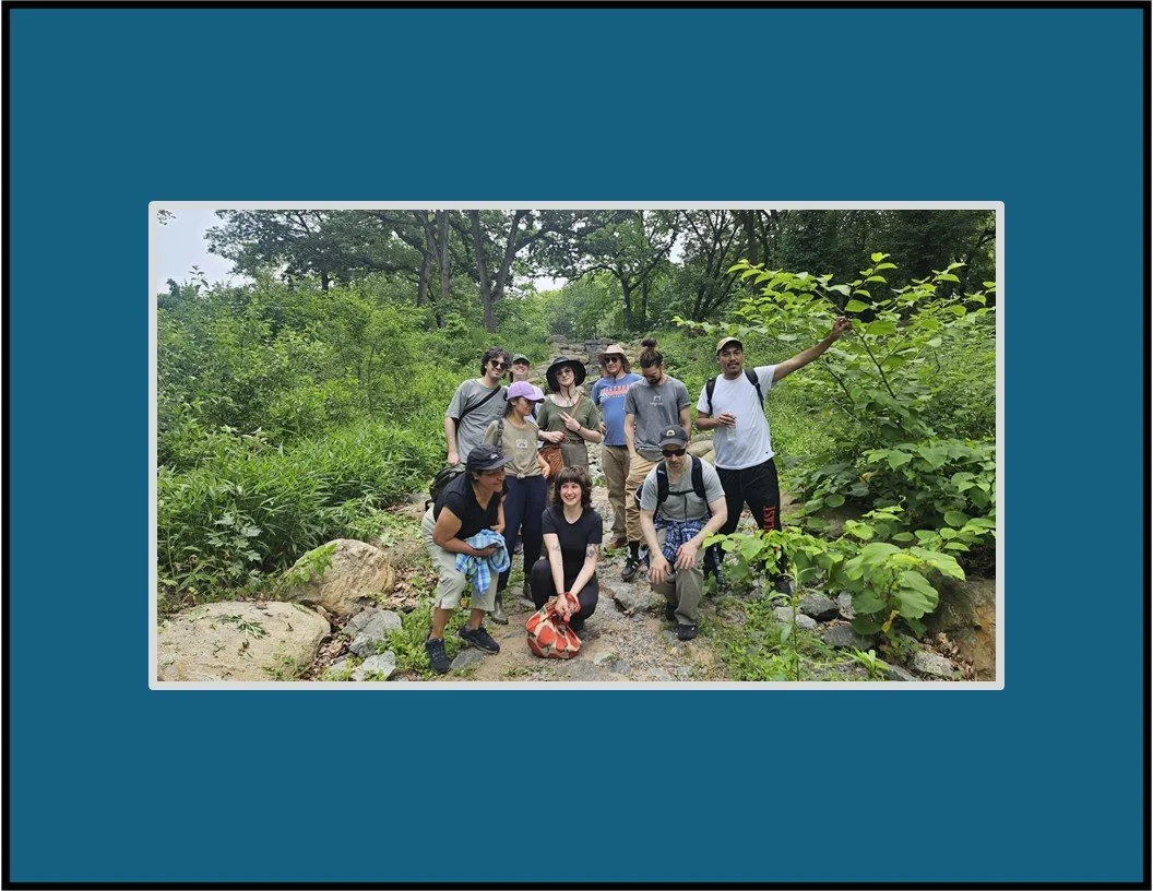 Restoration Fridays at Forest Park