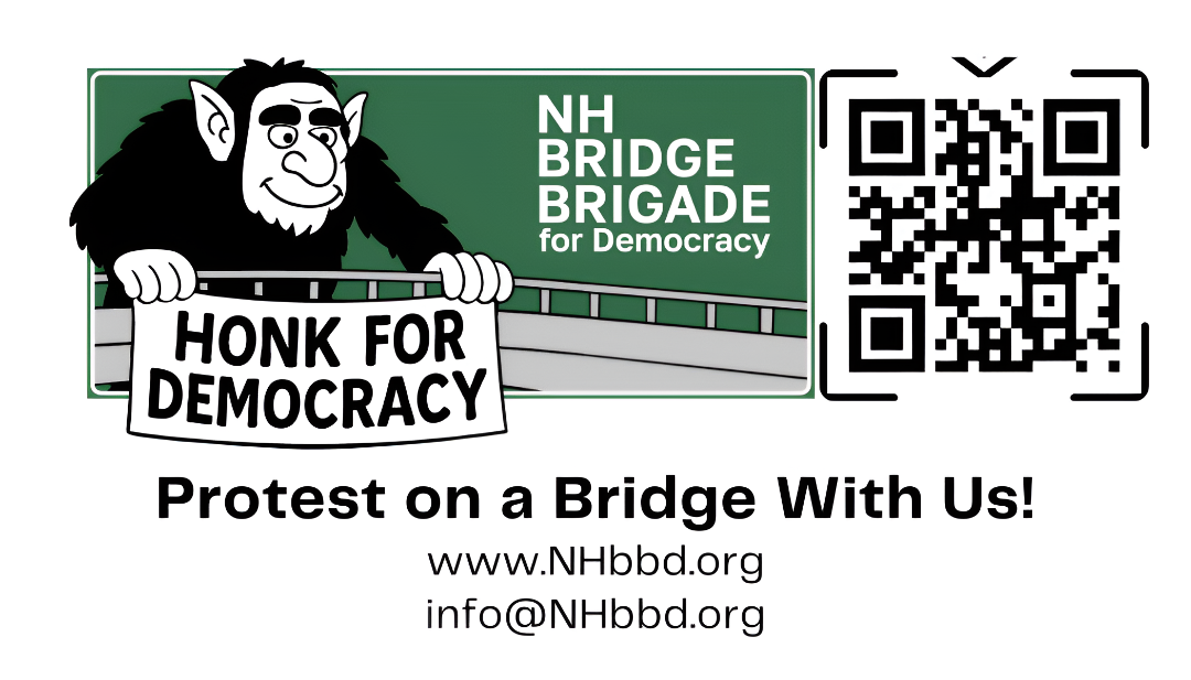 an image ofa troll on a bridge with  a sign that says Honk for democracy.