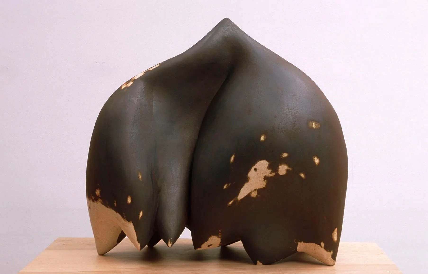  Of and About the Skin  25 x 25 x 12 inches, 2006 Earthenware, oxide, slip