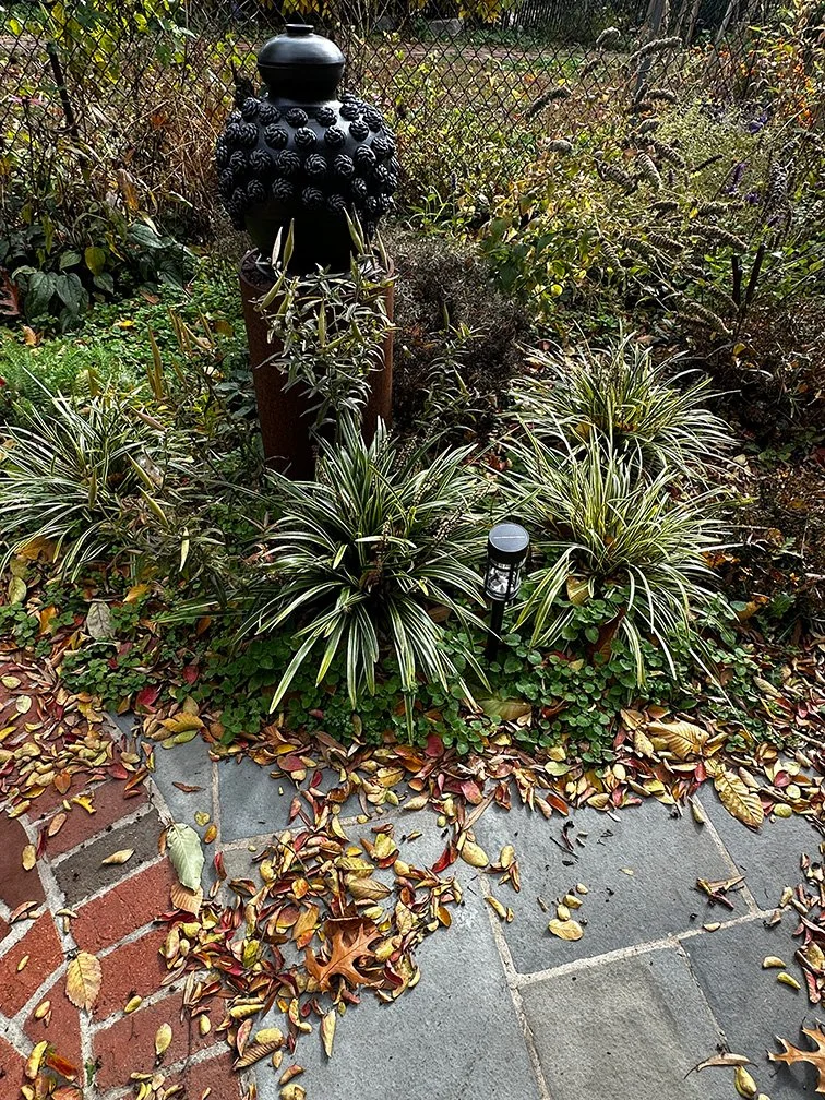Yinka-Orafidiya-garden-pot.jpg