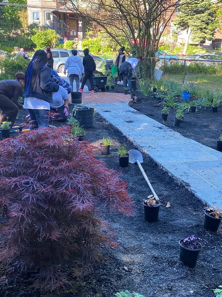 Planting-in-progress.jpg