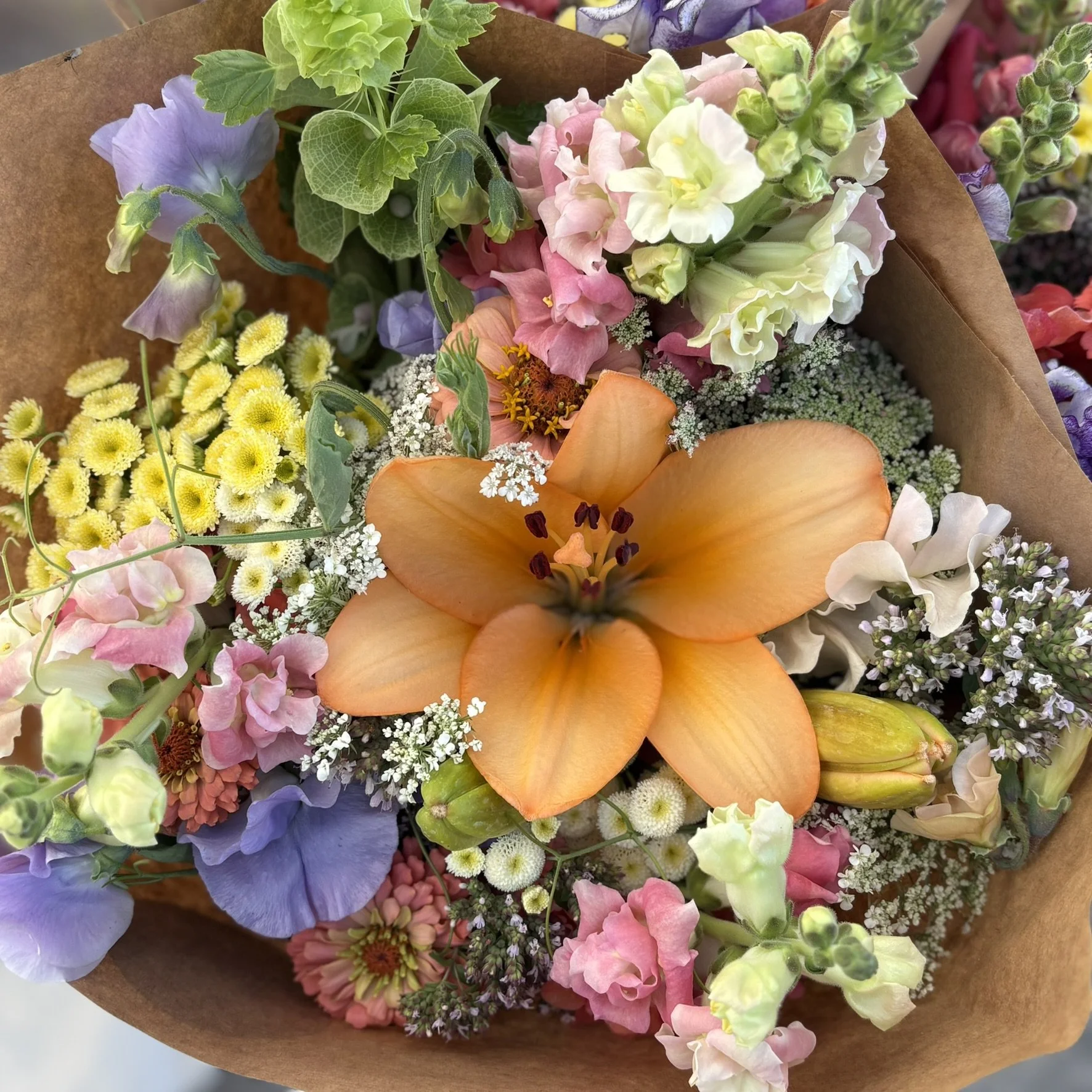 IMG_5109.JPEG (Copy)