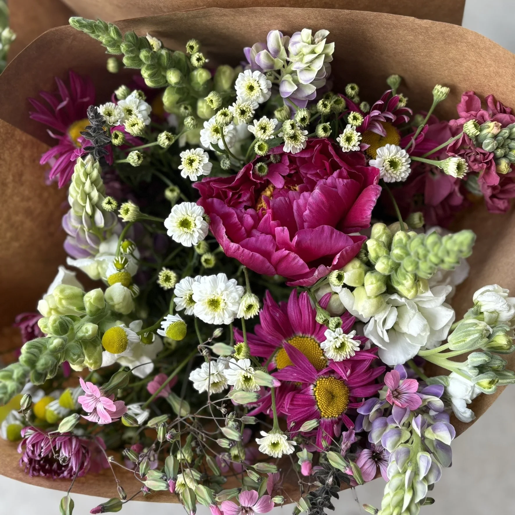 IMG_4474.JPEG (Copy)