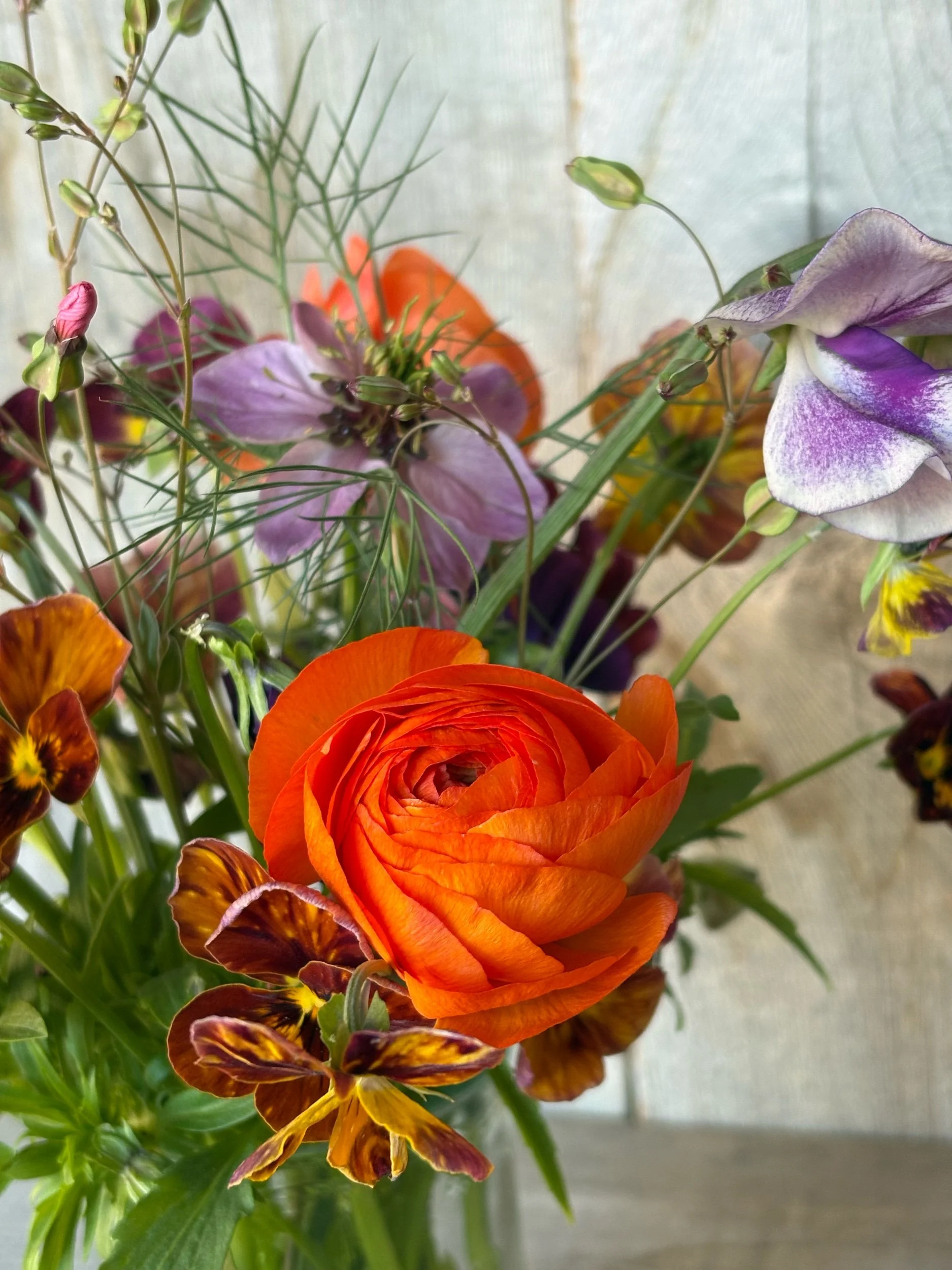 Garden Posy- spring edition