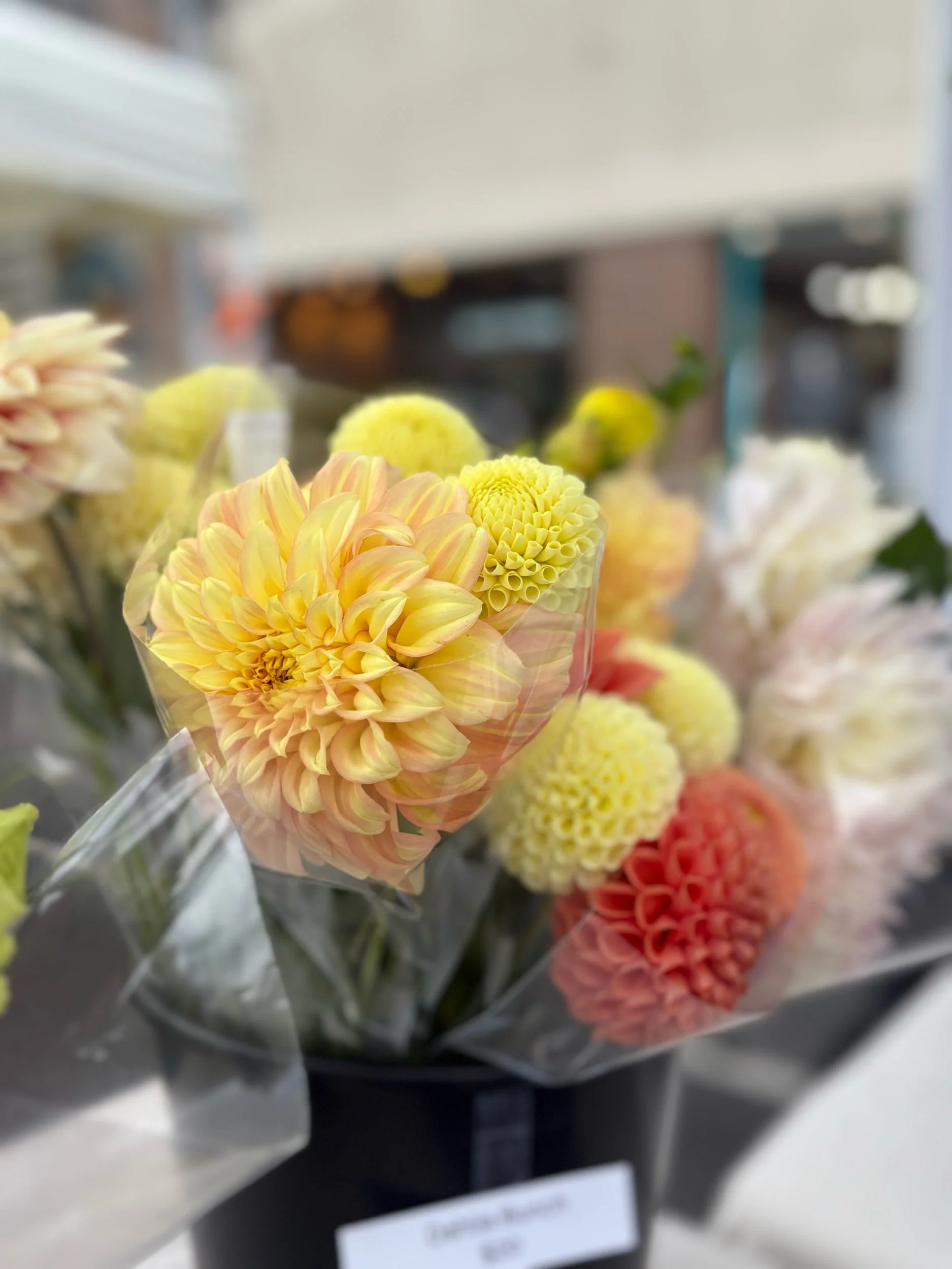 Dahlia Bouquets: Fall