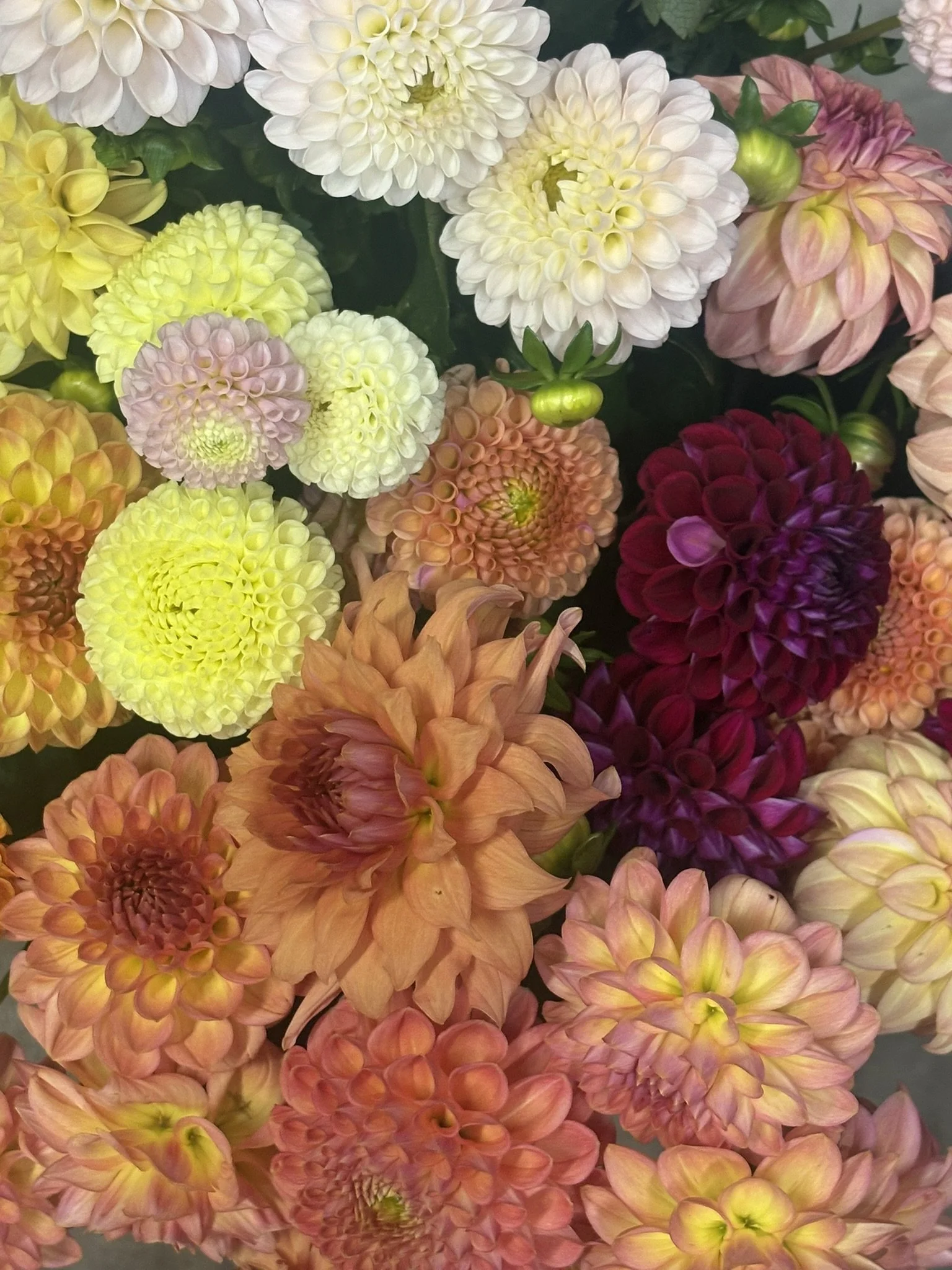 Dahlia Bouquets: Fall