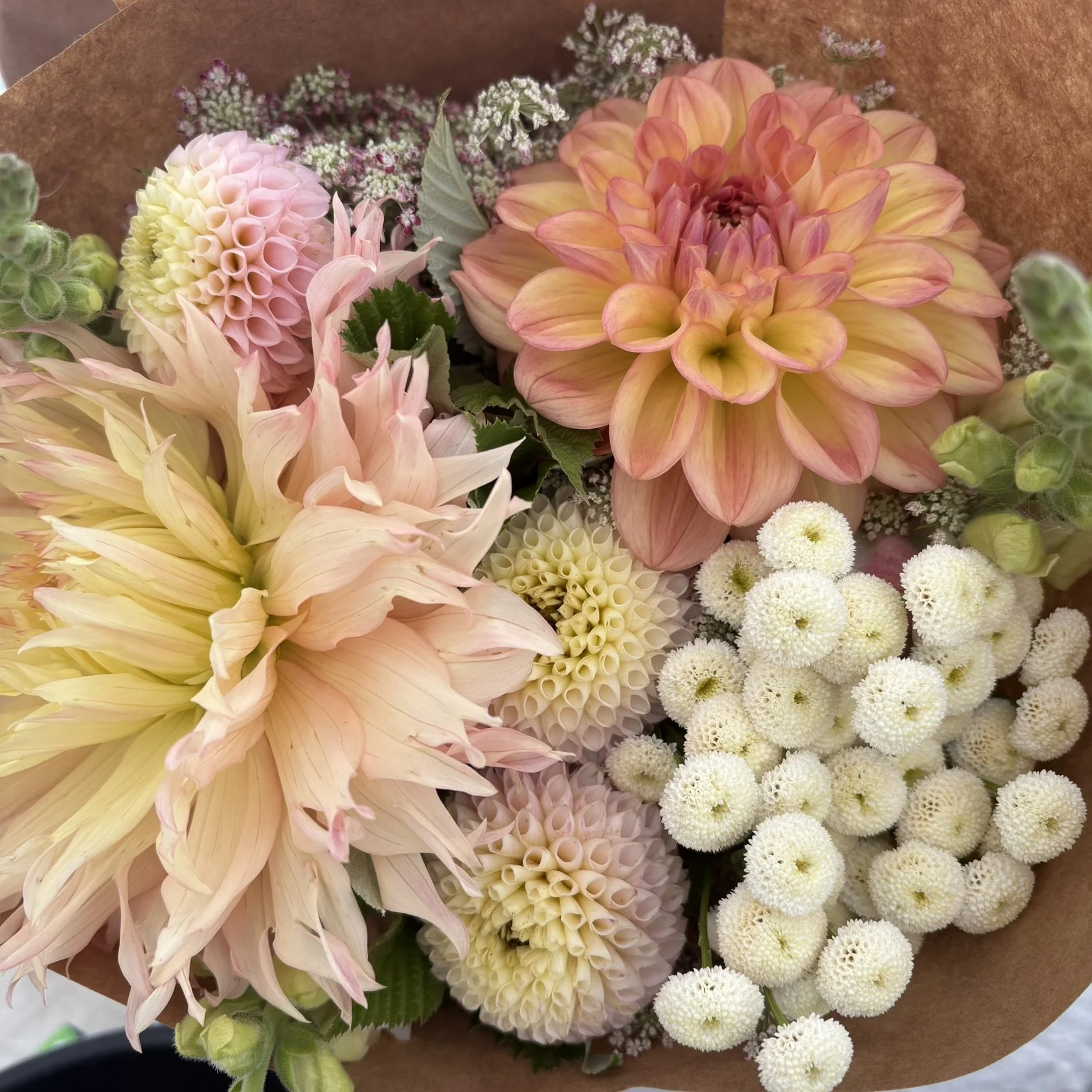 IMG_5413.JPEG (Copy)